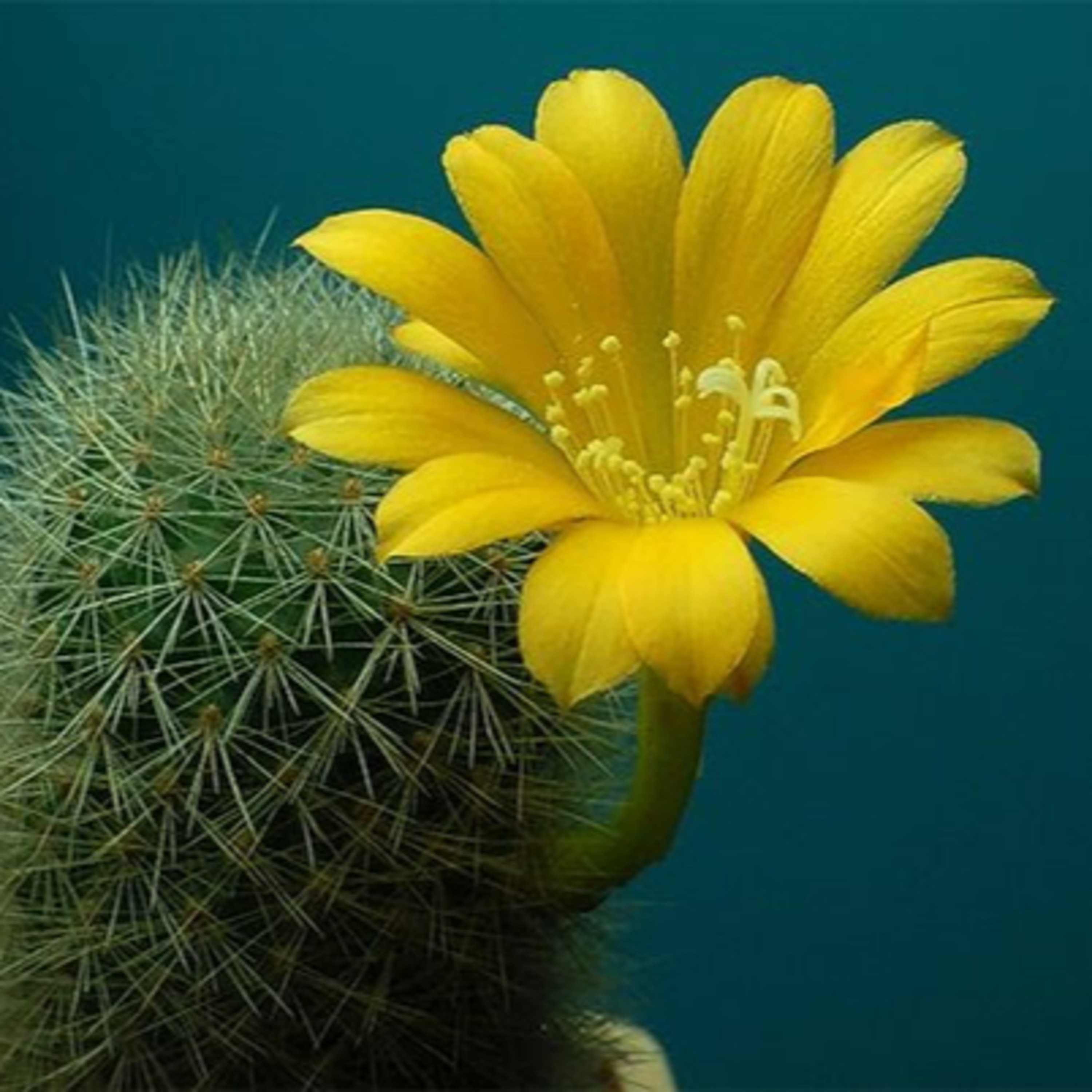 Психозаметки / Psy notes