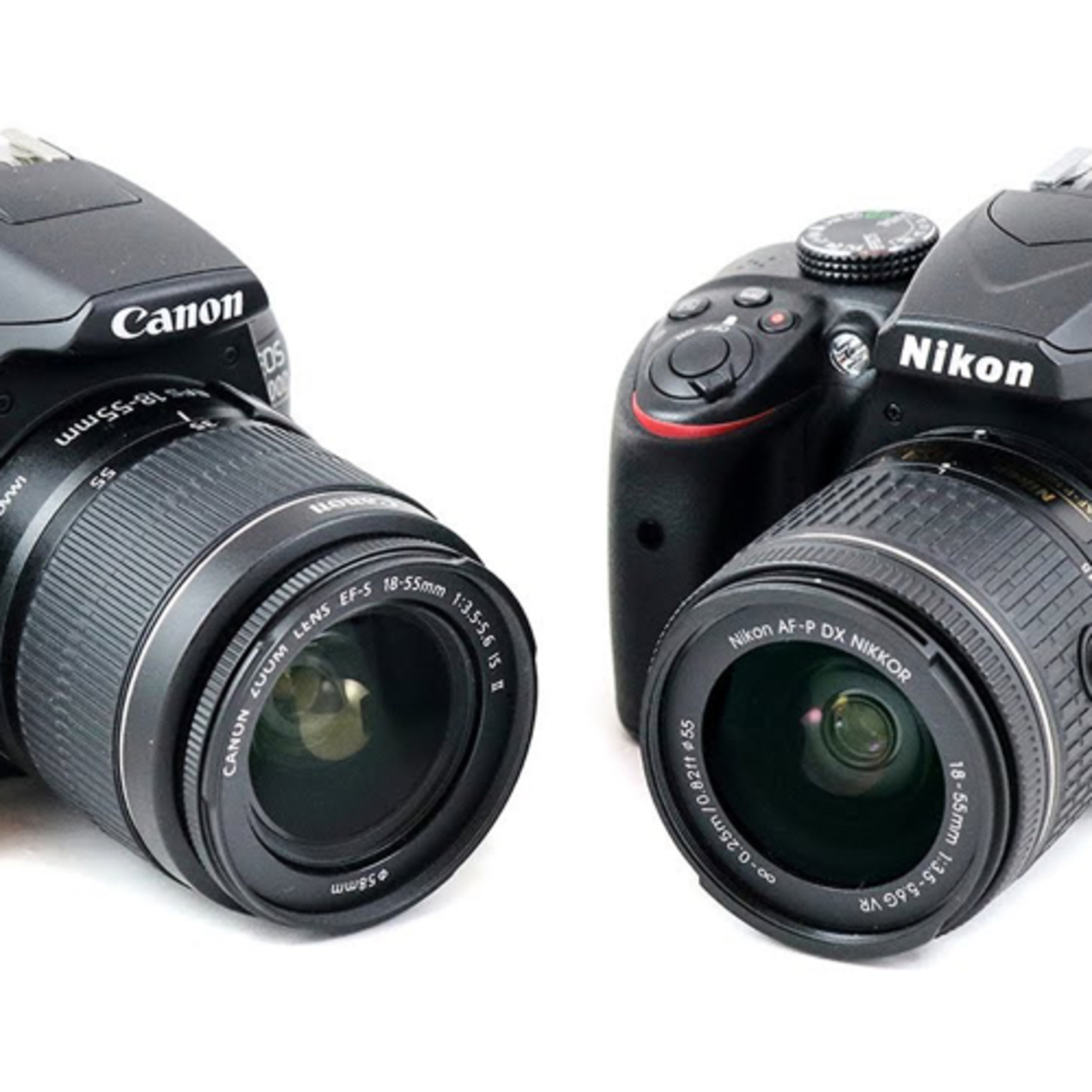 Fotografahuna fotografia
