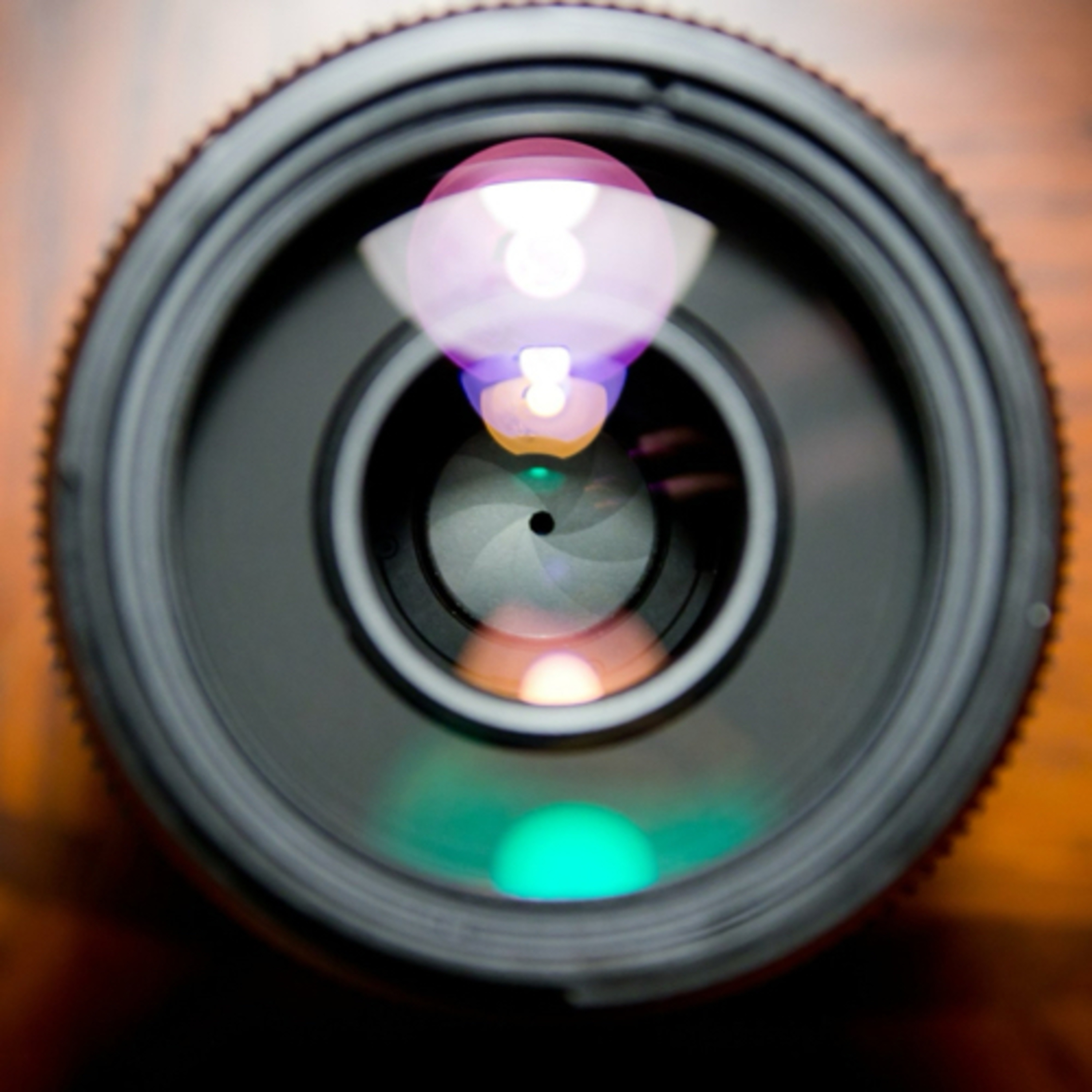 Fotografahuna fotografia