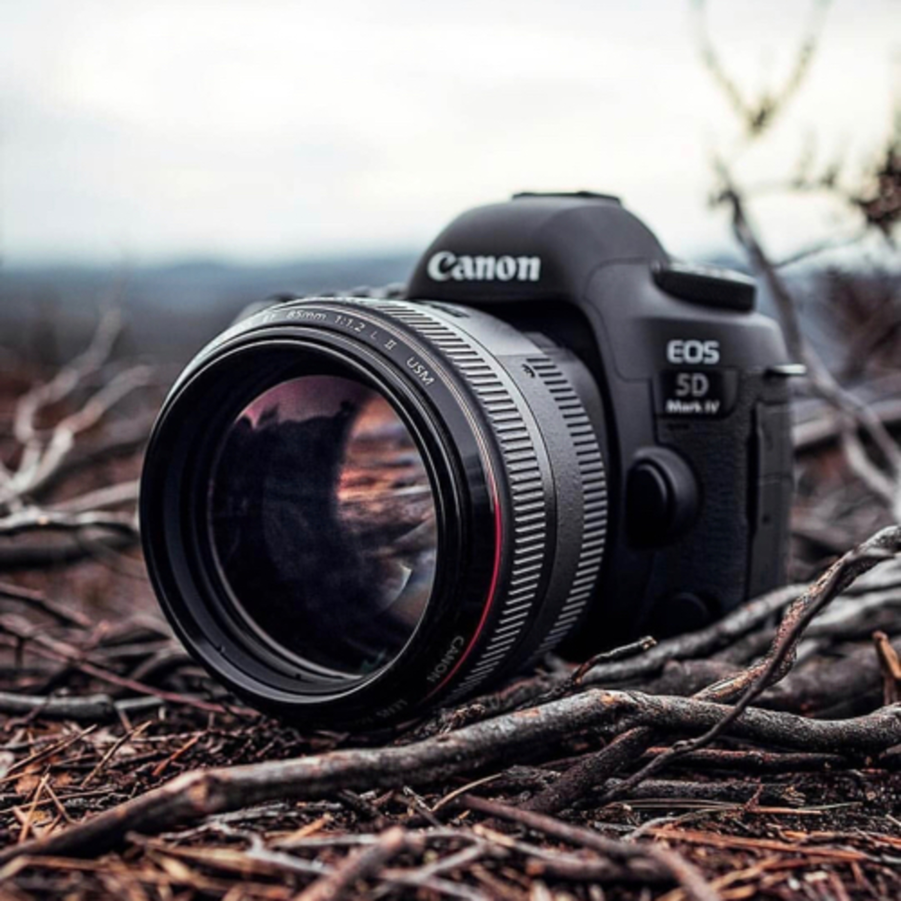 Fotografahuna fotografia