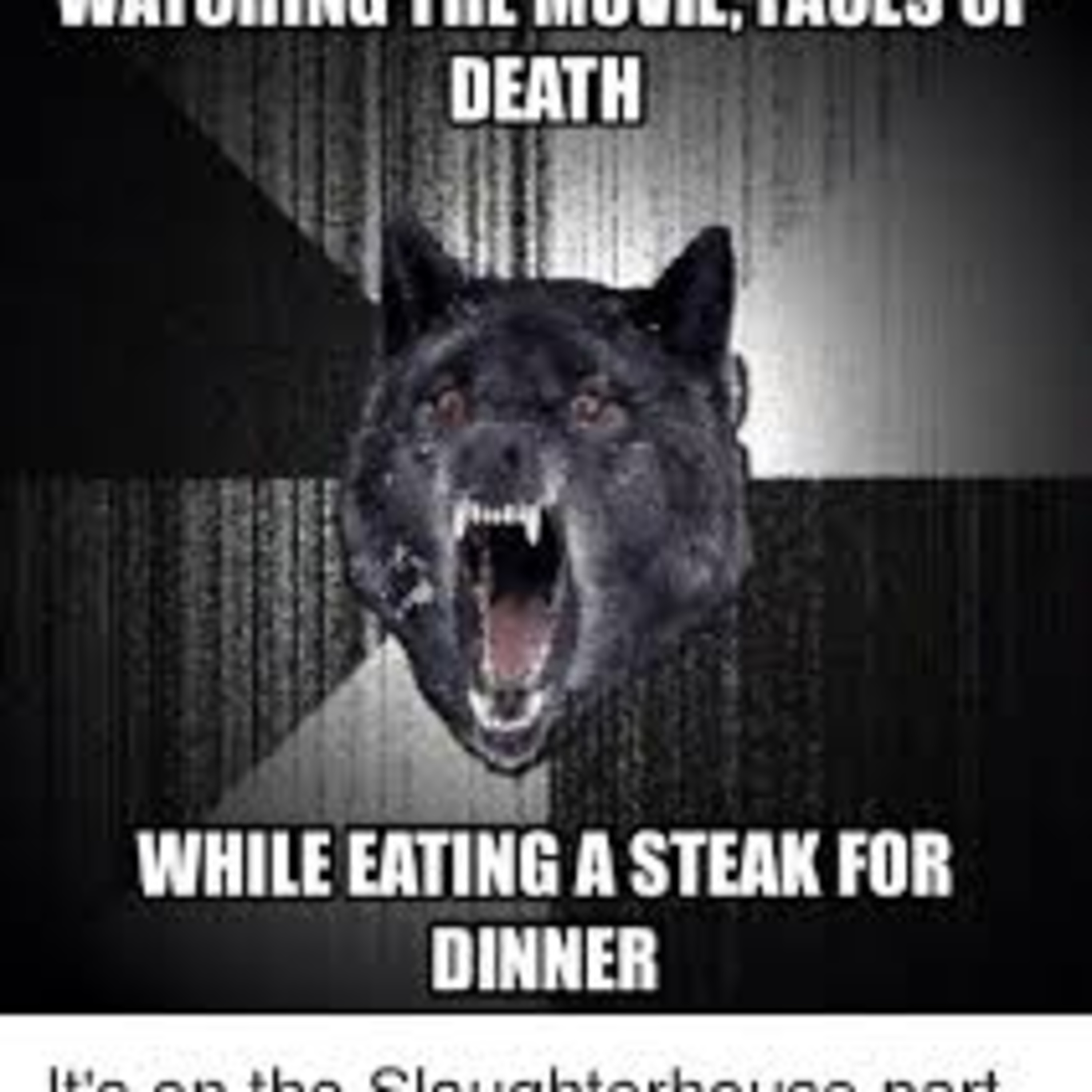 Vegan Talk with William Wheaton