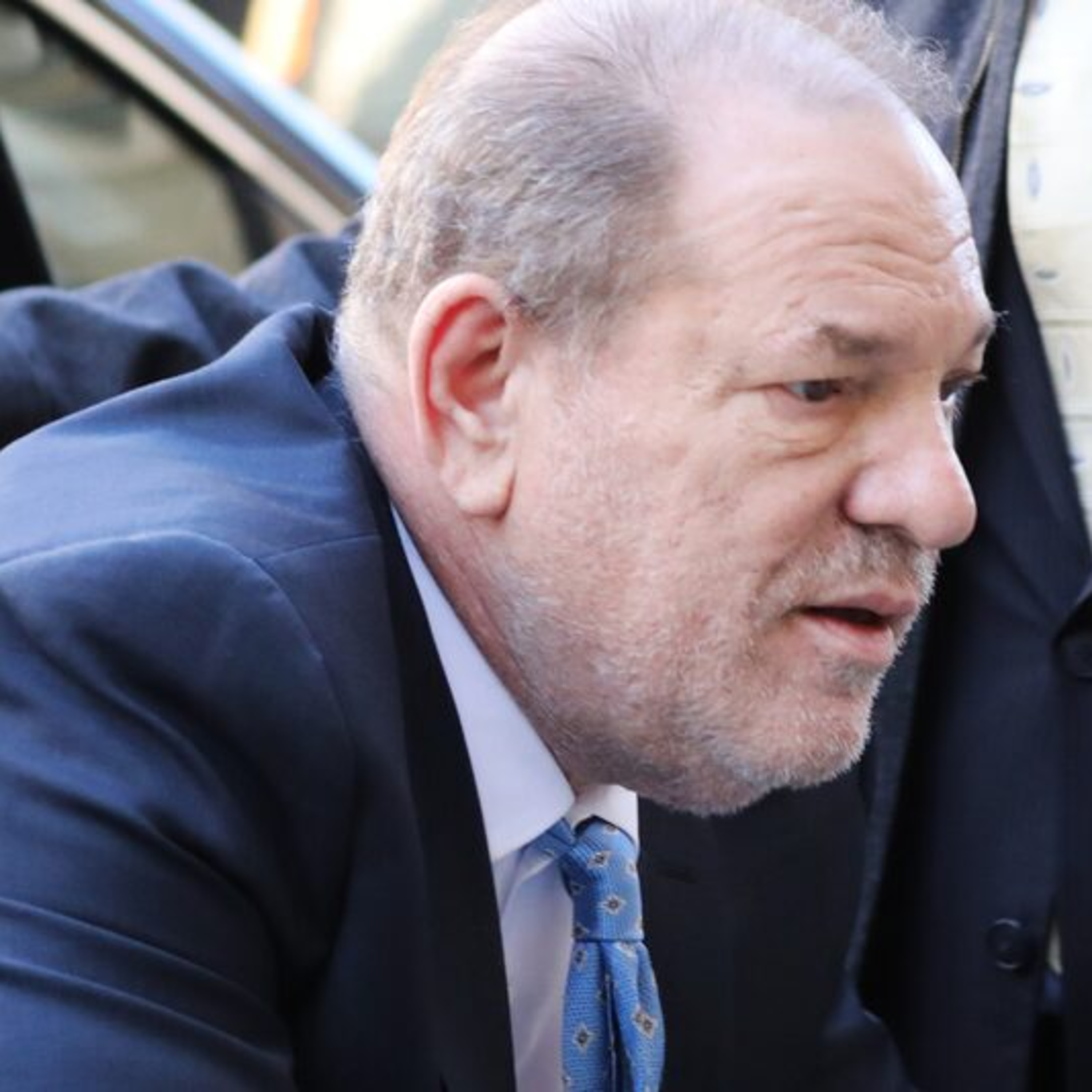 Vegan Talk with William Wheaton