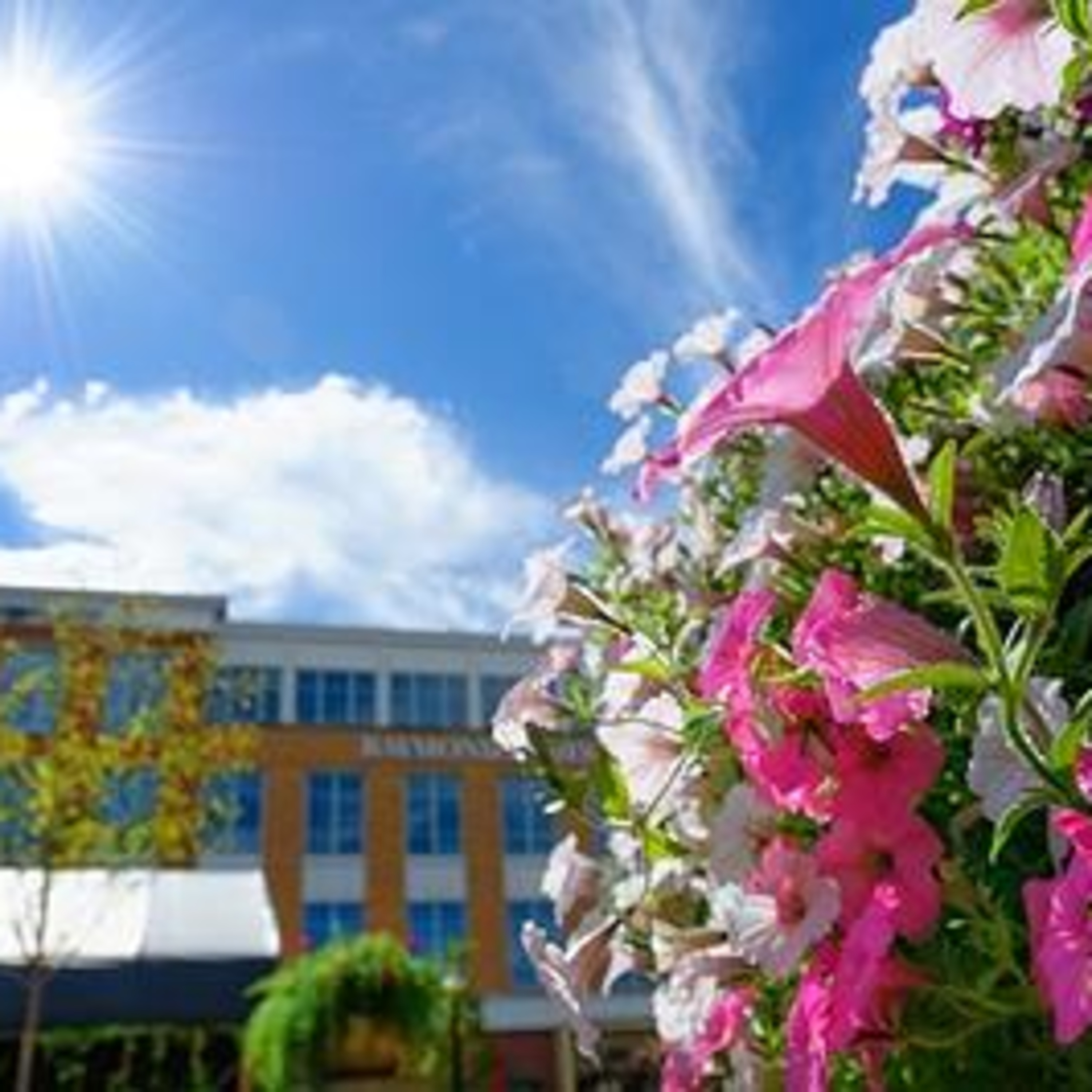 Commercial Landscape Design Services In Cleveland Commercial Landscape Design Services In Cleveland