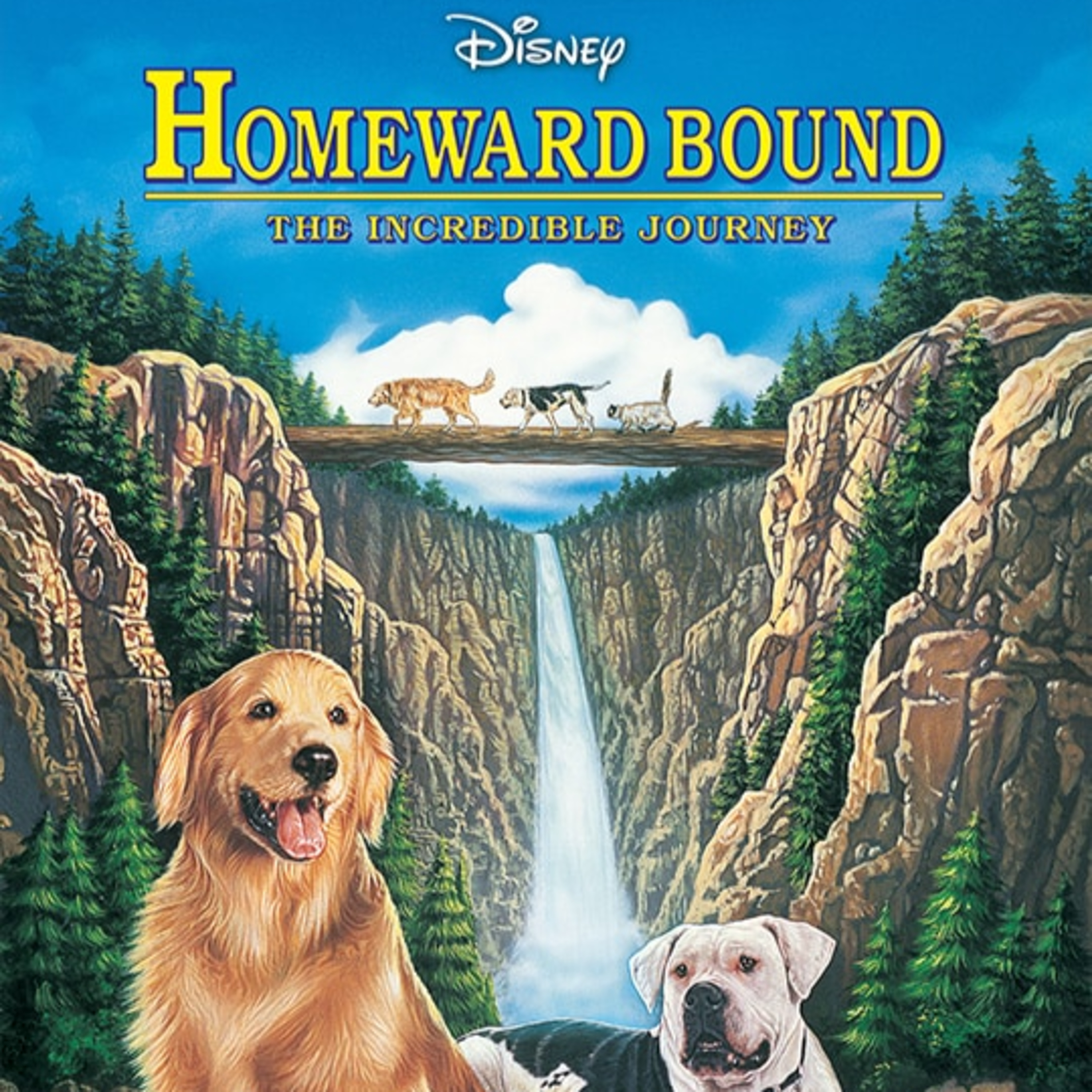 BS Commentaries-Homeward Bound episode artwork