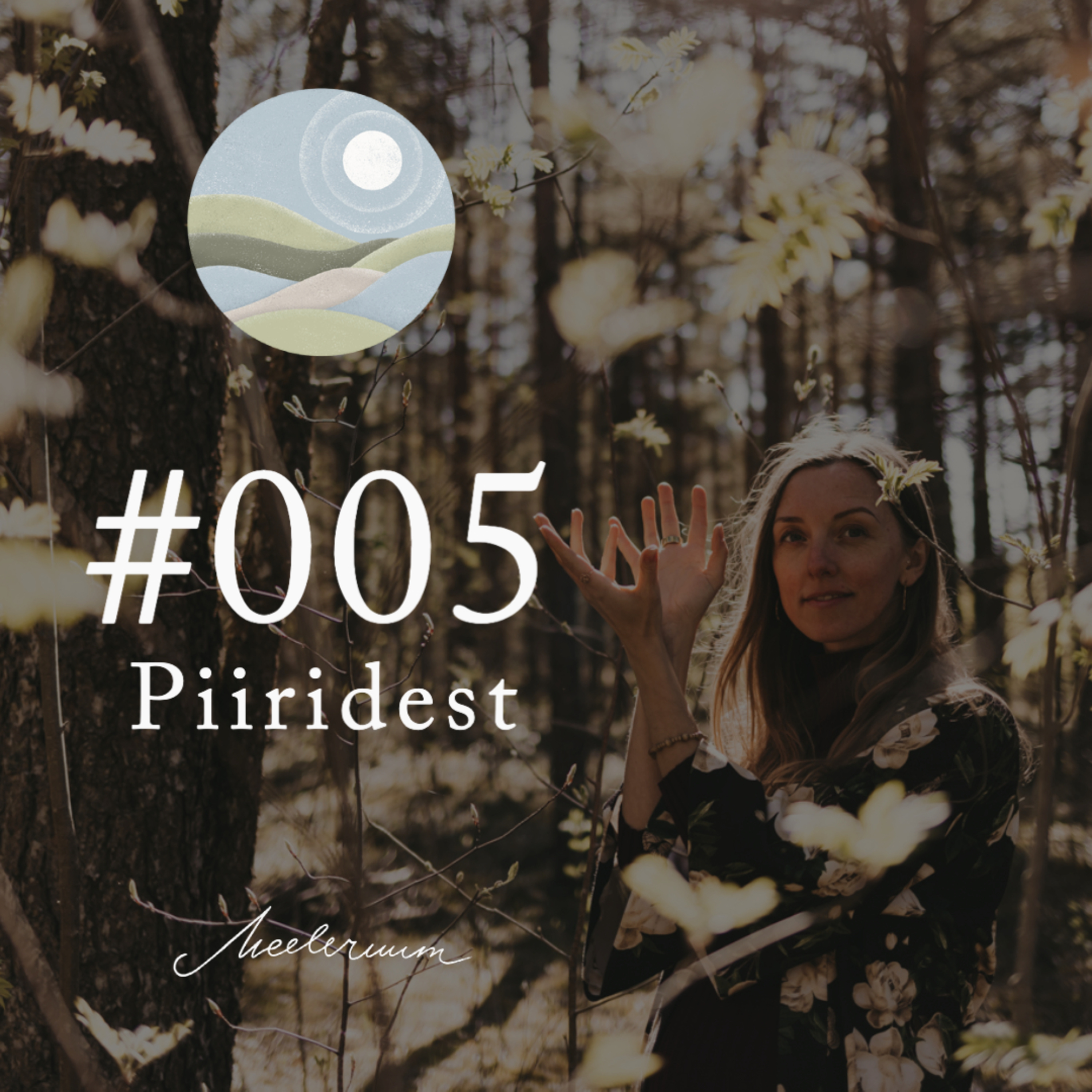 #005 Meeleruum: Piiridest