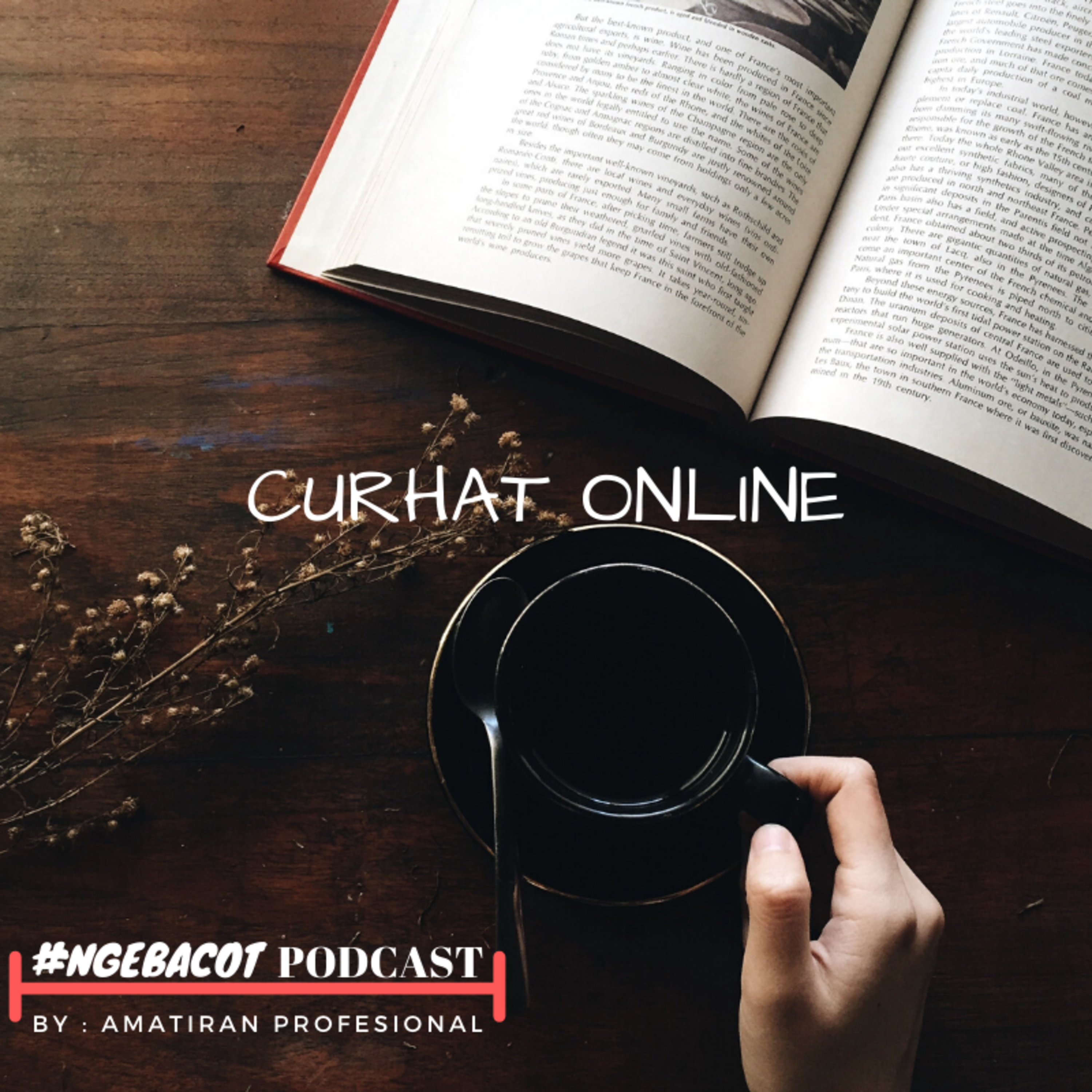 Amatiran Profesional Podcast