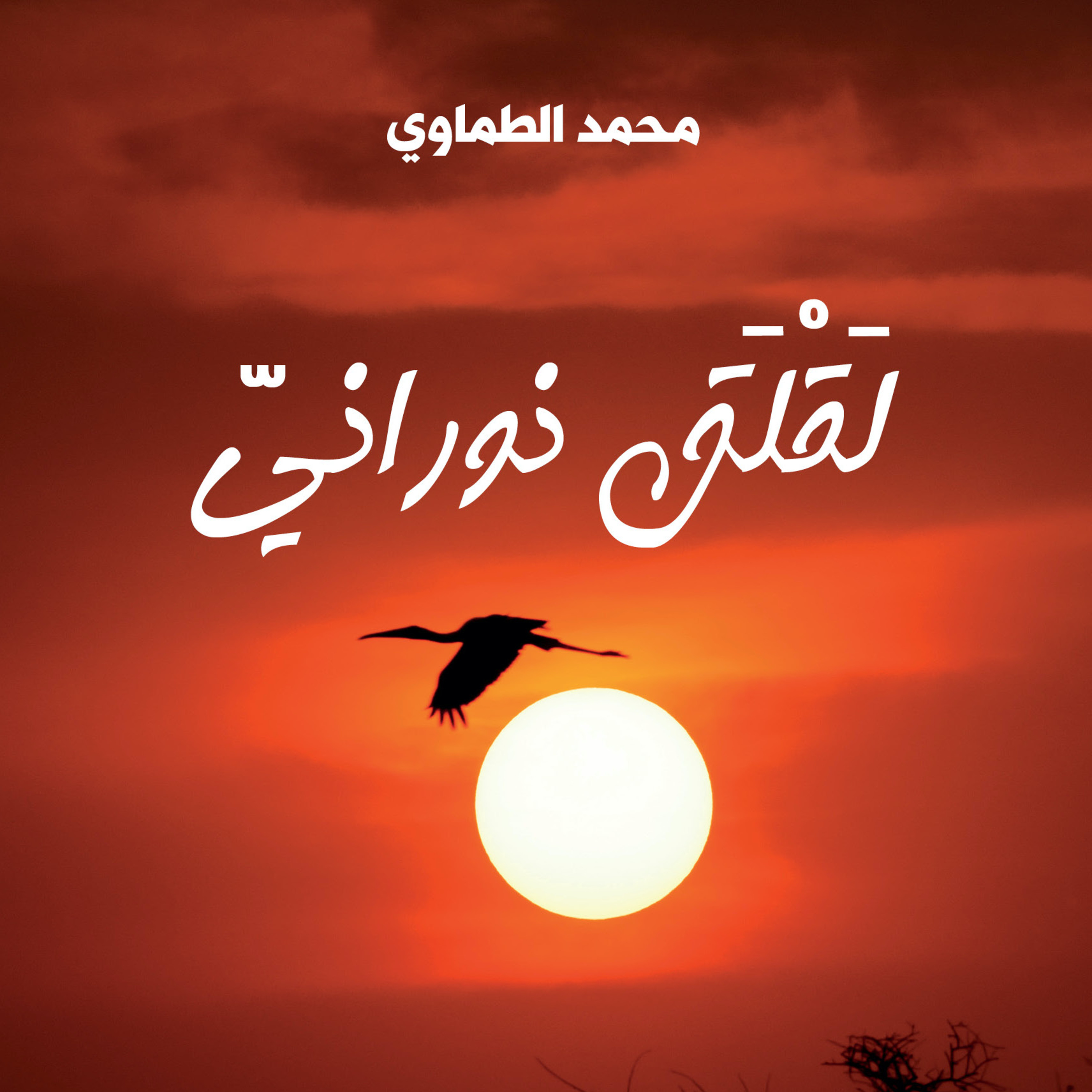 لقلق نوراني - من الفصل الأول EP 5