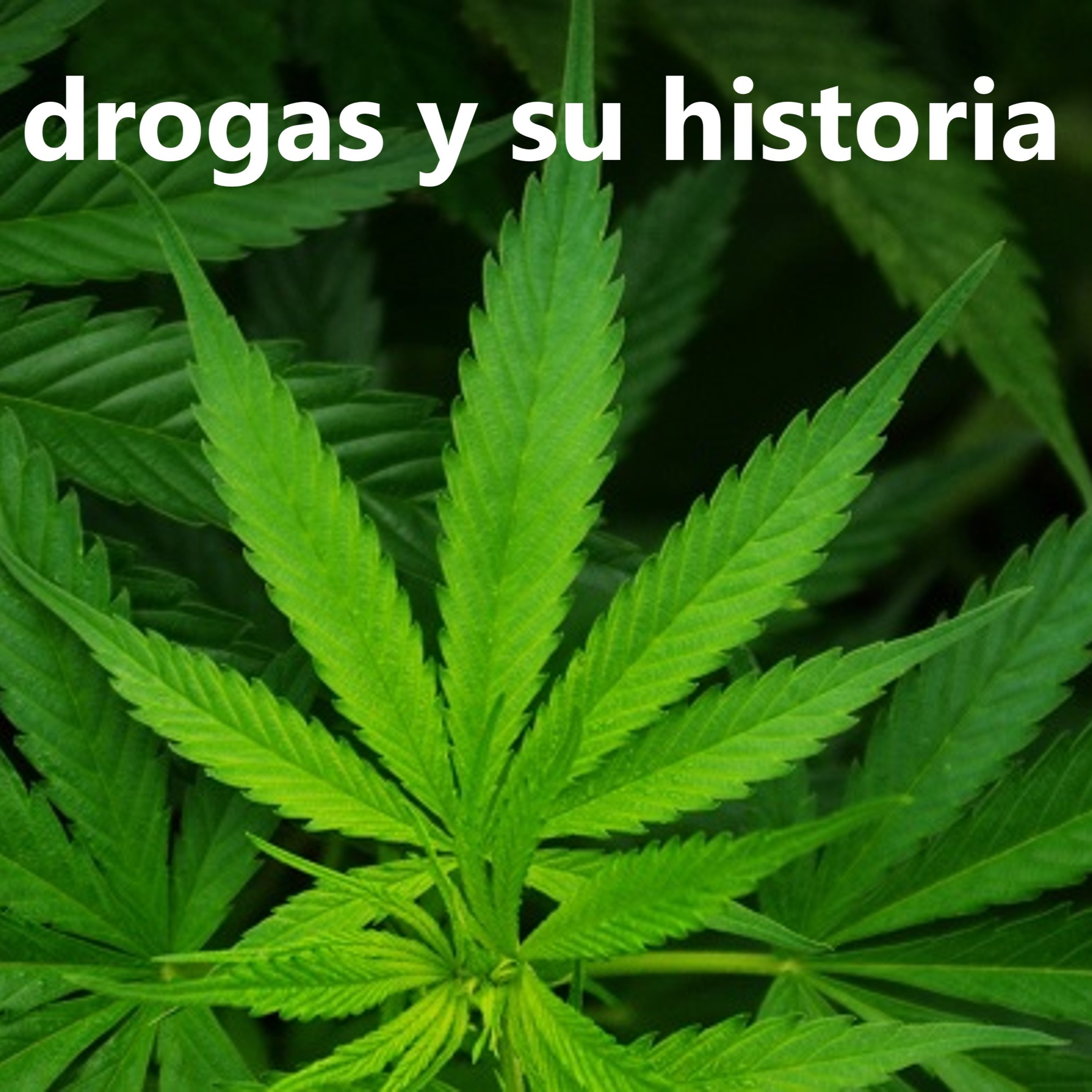 Portada de Creativos Radio