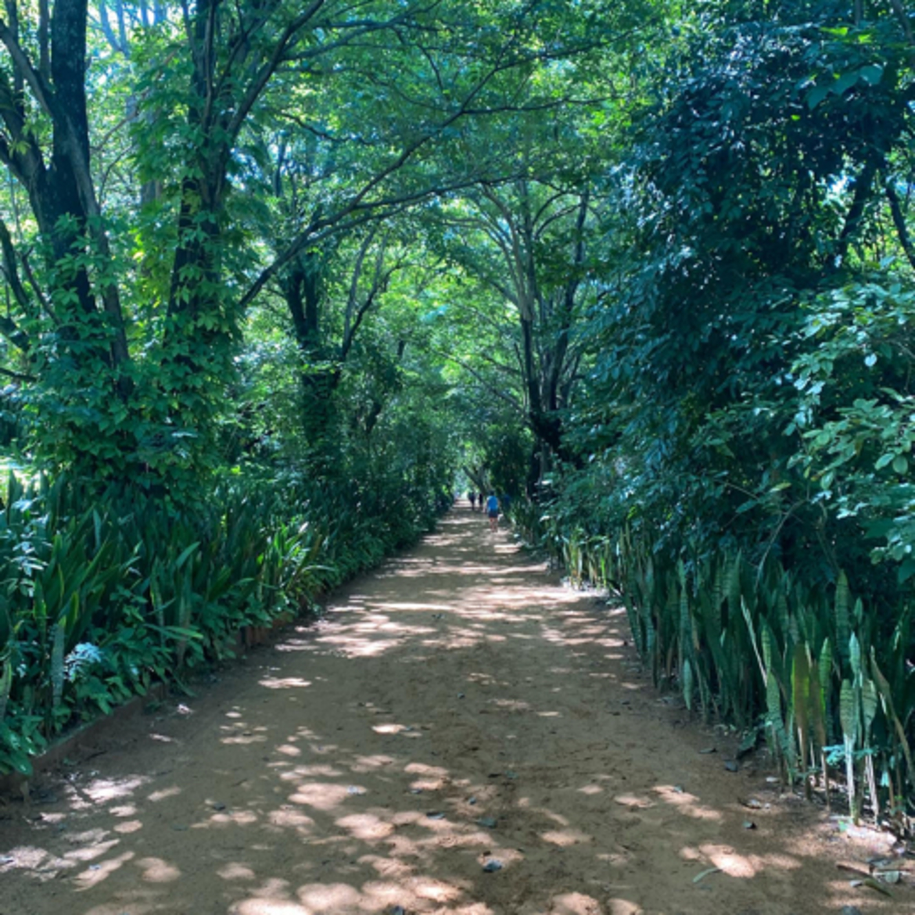 第43回　公園、挨拶、虫。。。 episode artwork