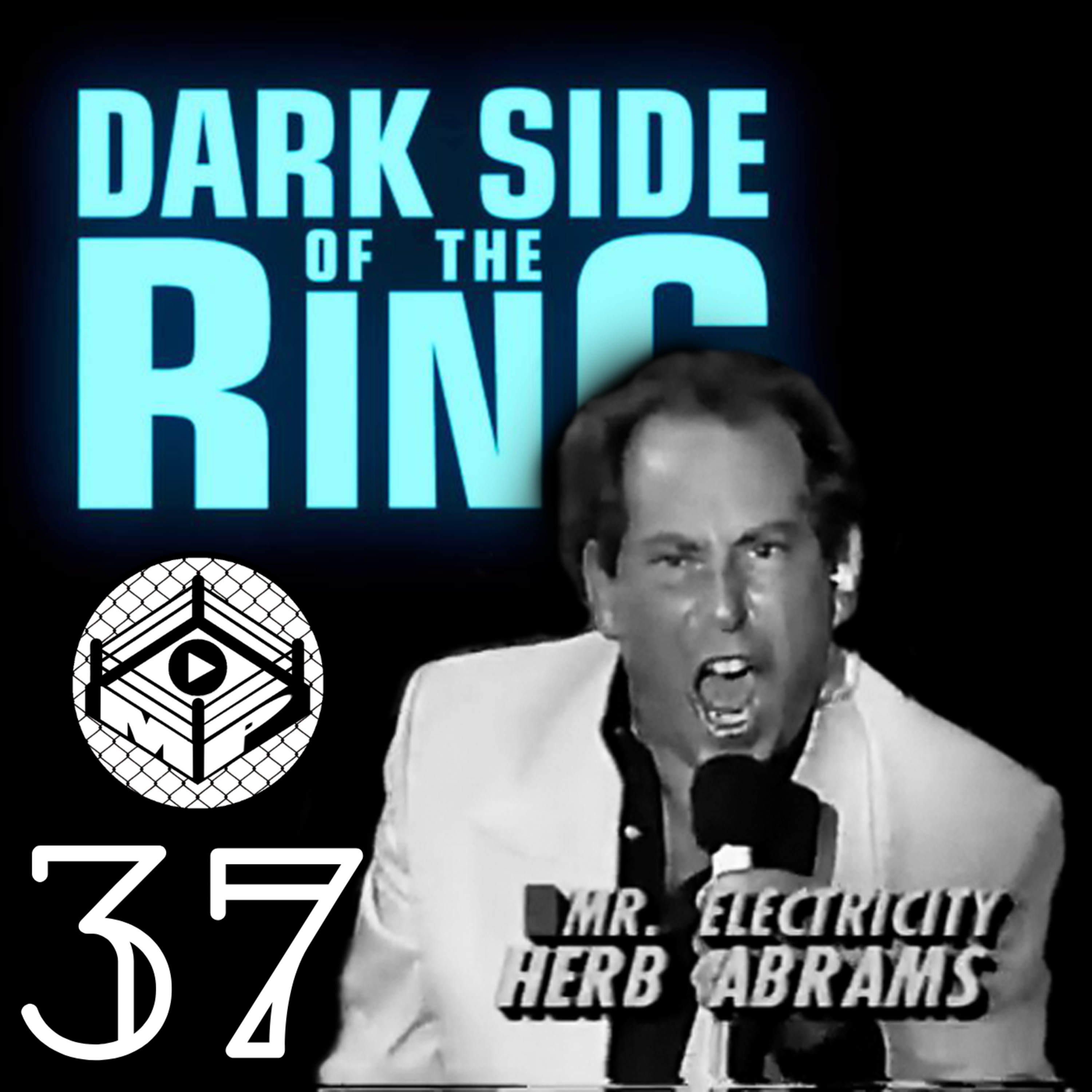 Pro Wrestling Zone 37: WWE Money in the Bank Review and Herb Abrams Story! episode artwork