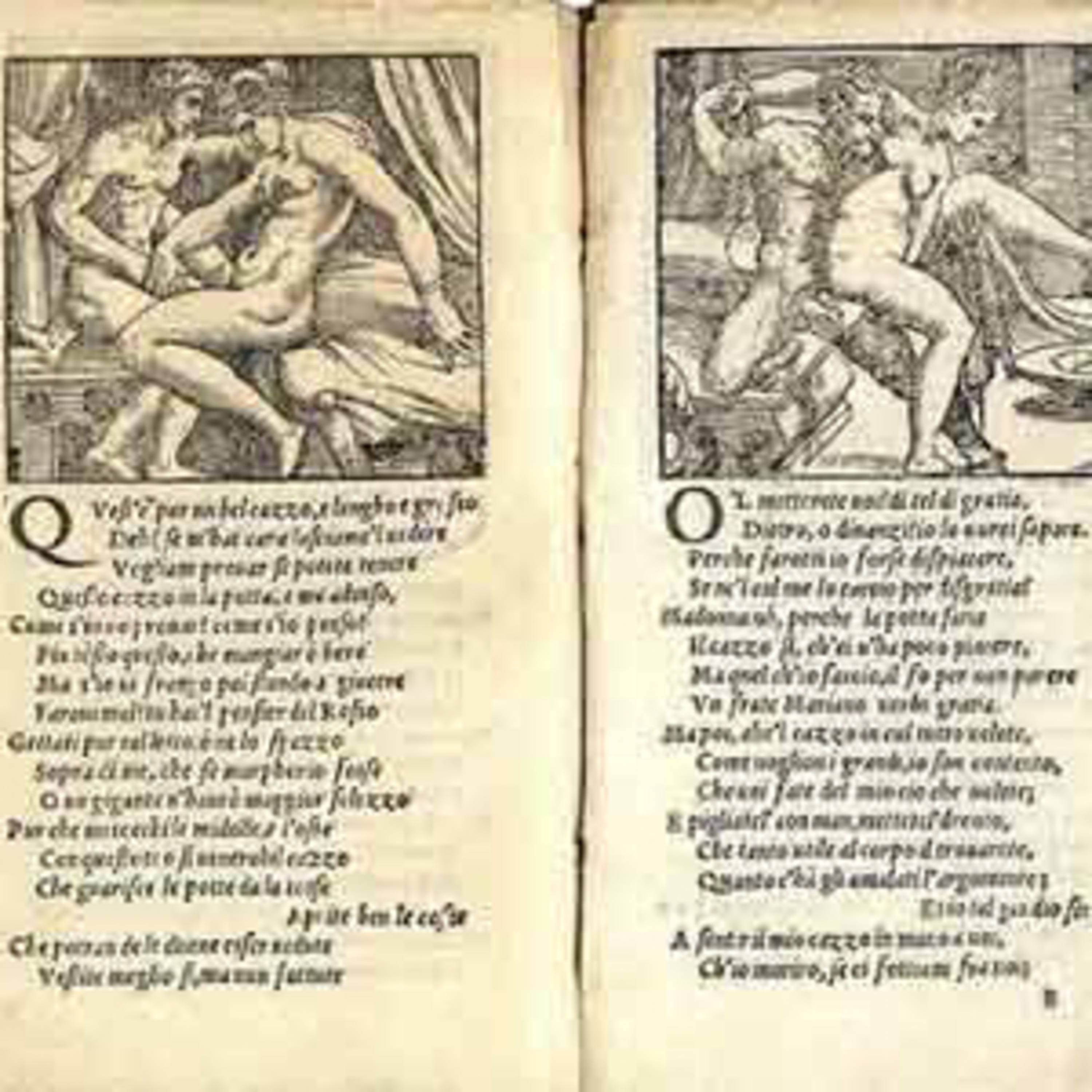 Sottobosco storico letterario