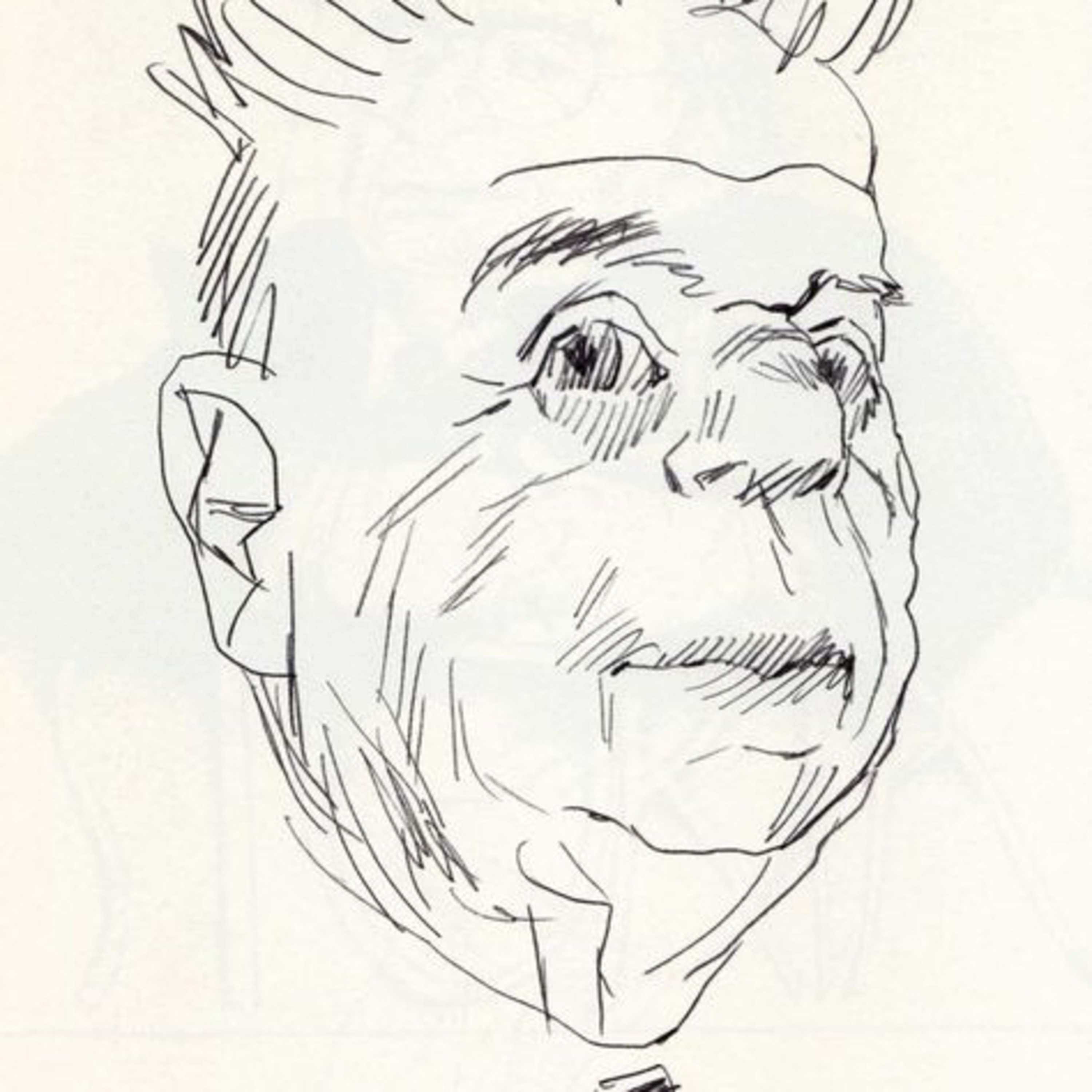 Sottobosco storico letterario