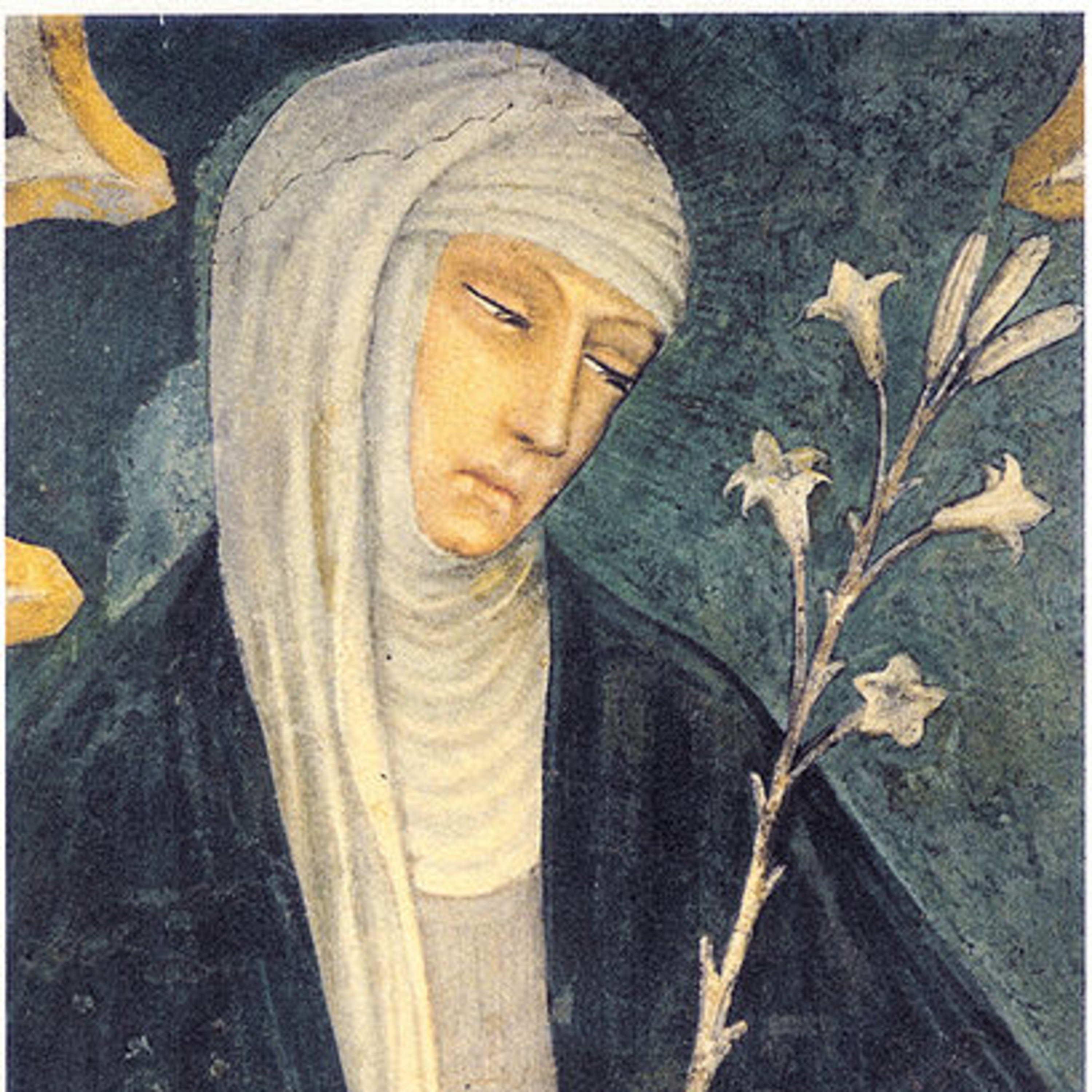 Sottobosco storico letterario