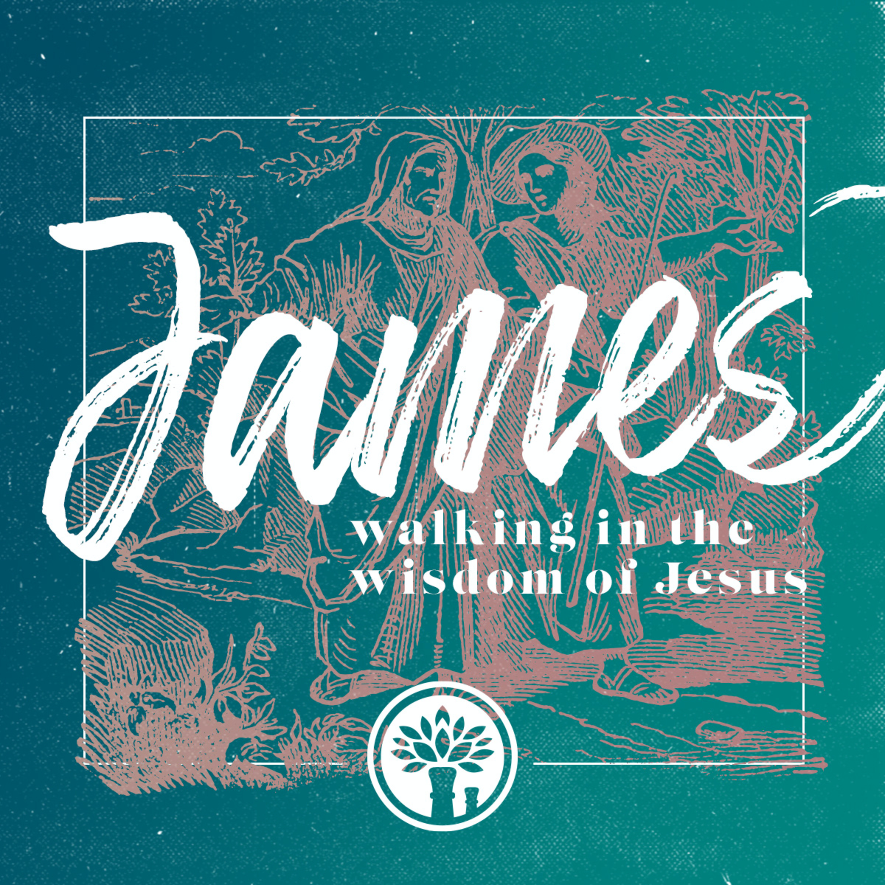 Jesus' Wisdom on Wisdom episode artwork