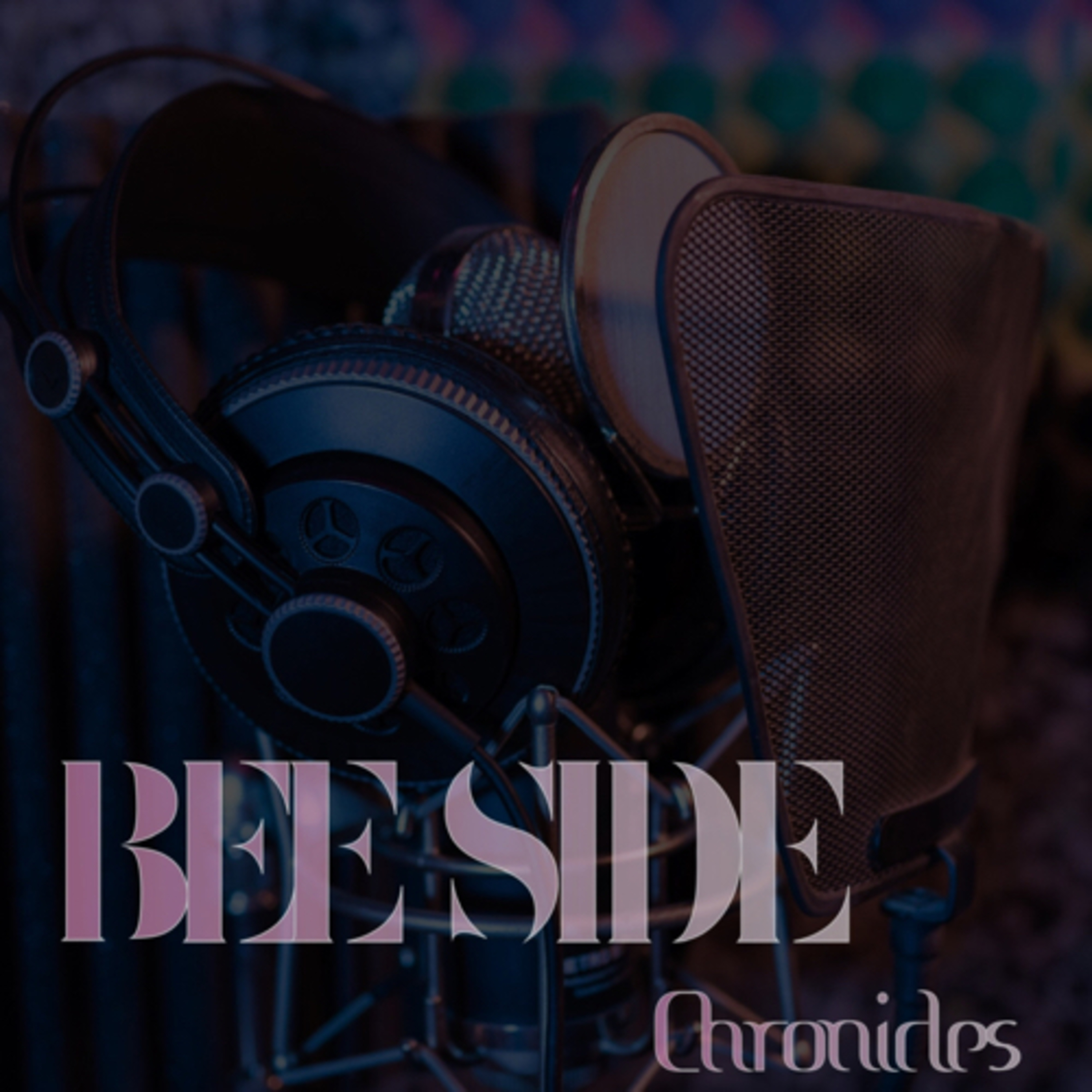Bee Side Chronicles