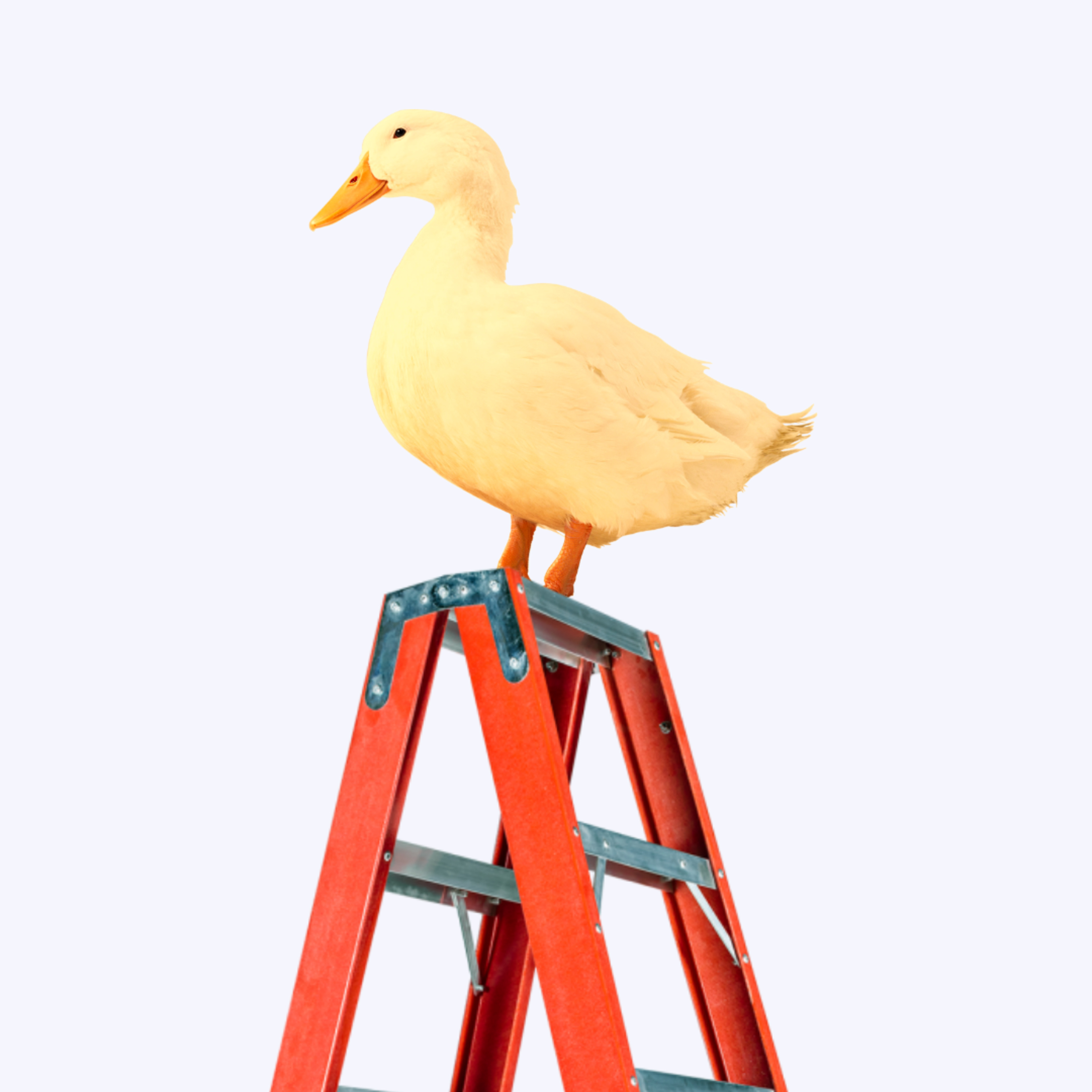 pato escada podcast