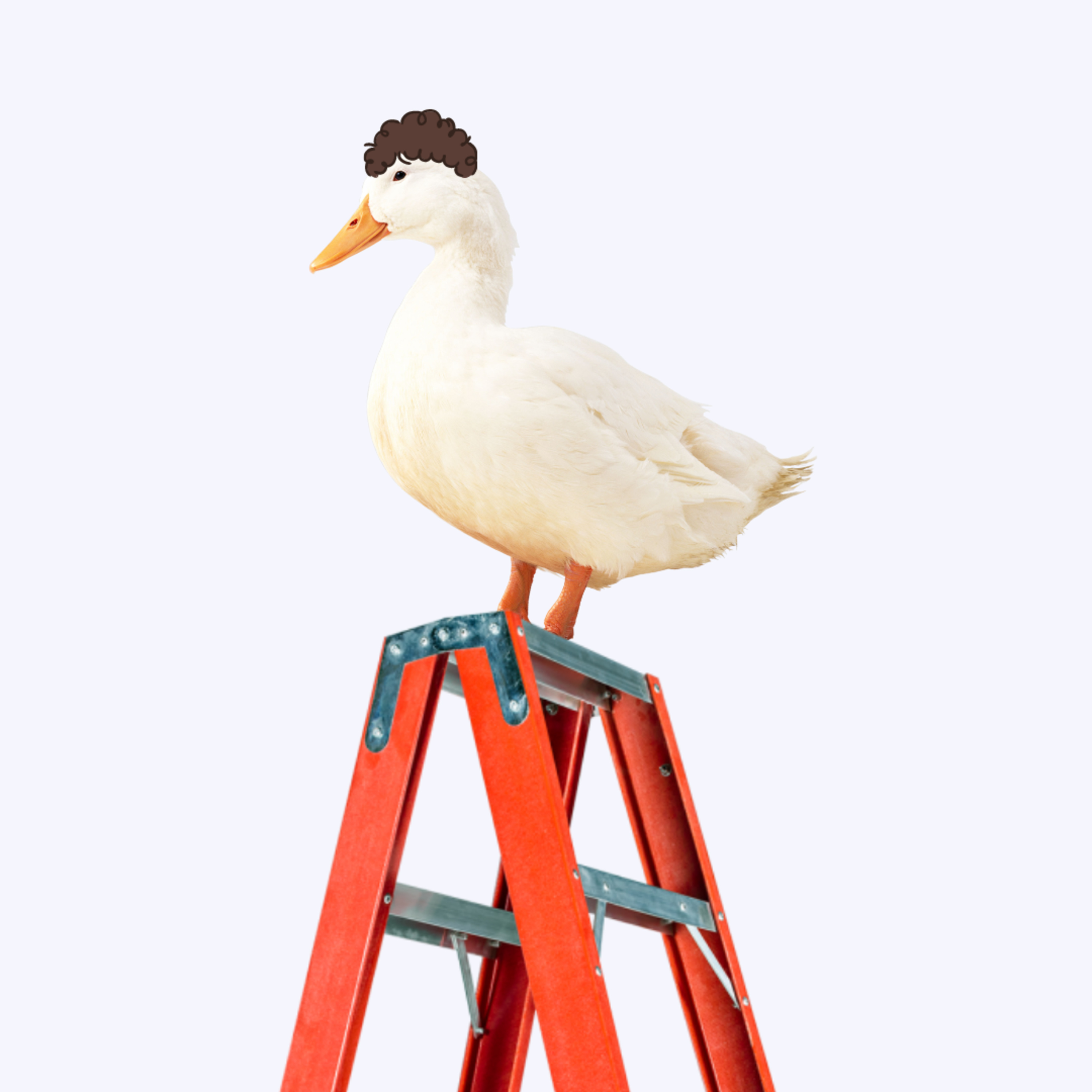 pato escada podcast