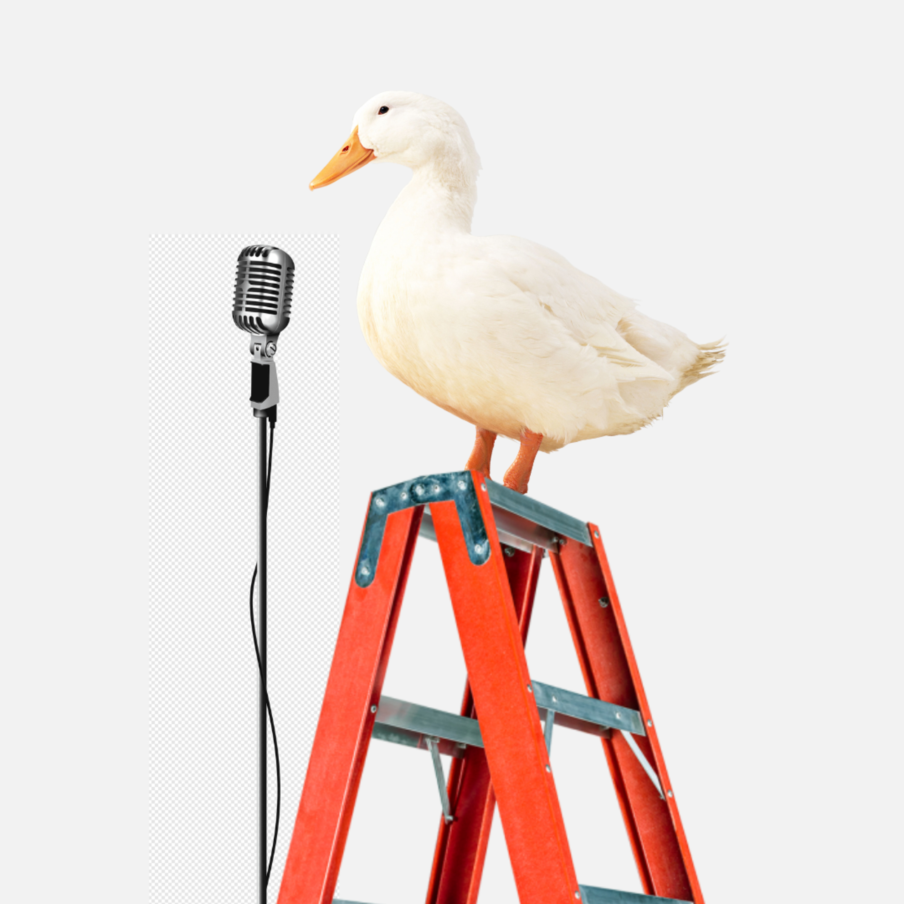 pato escada podcast