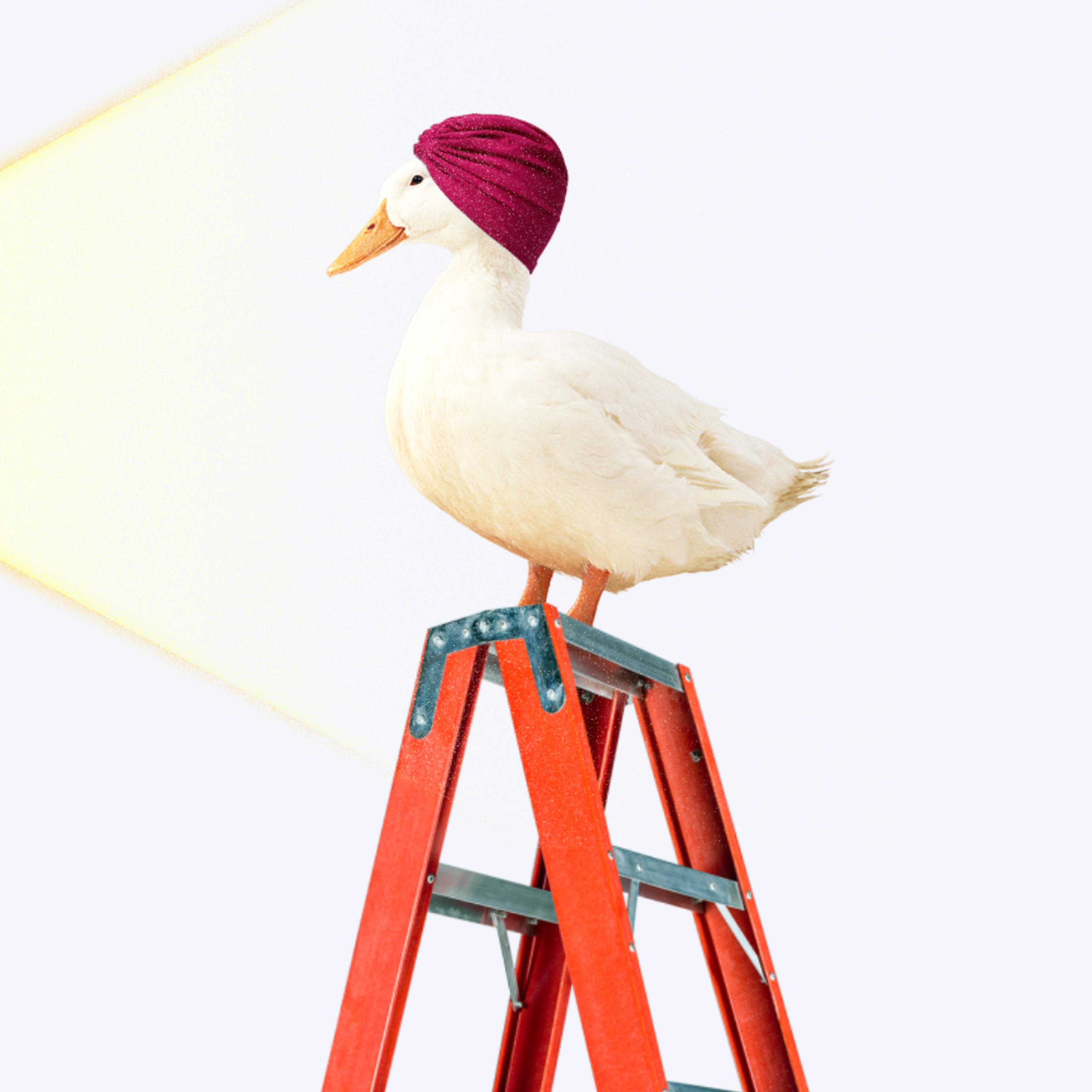 pato escada podcast