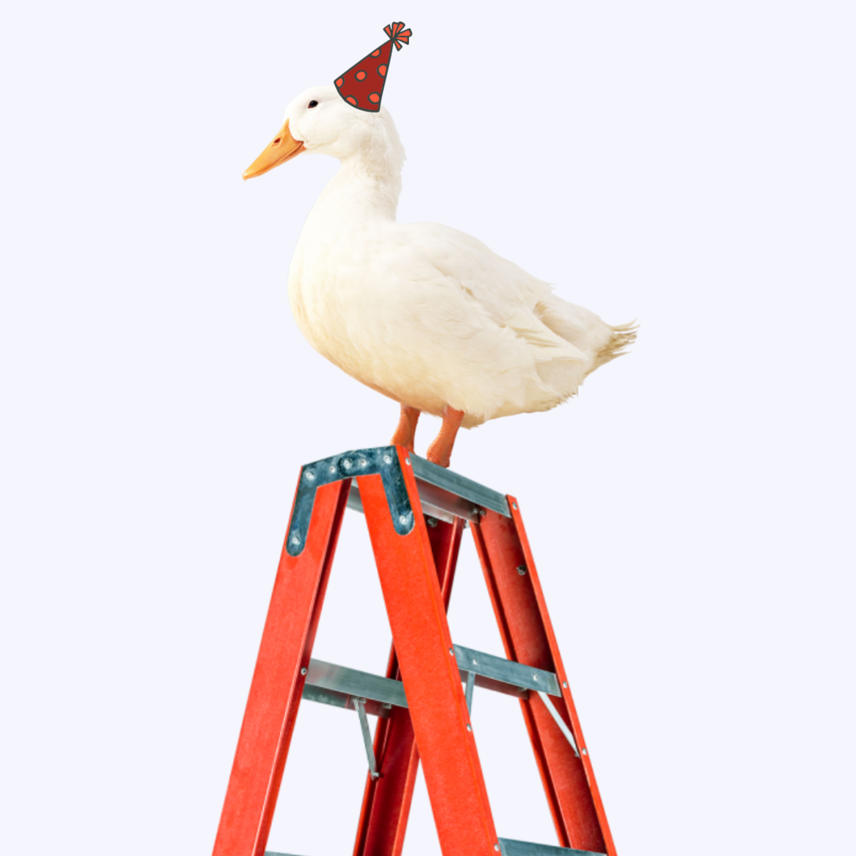 pato escada podcast