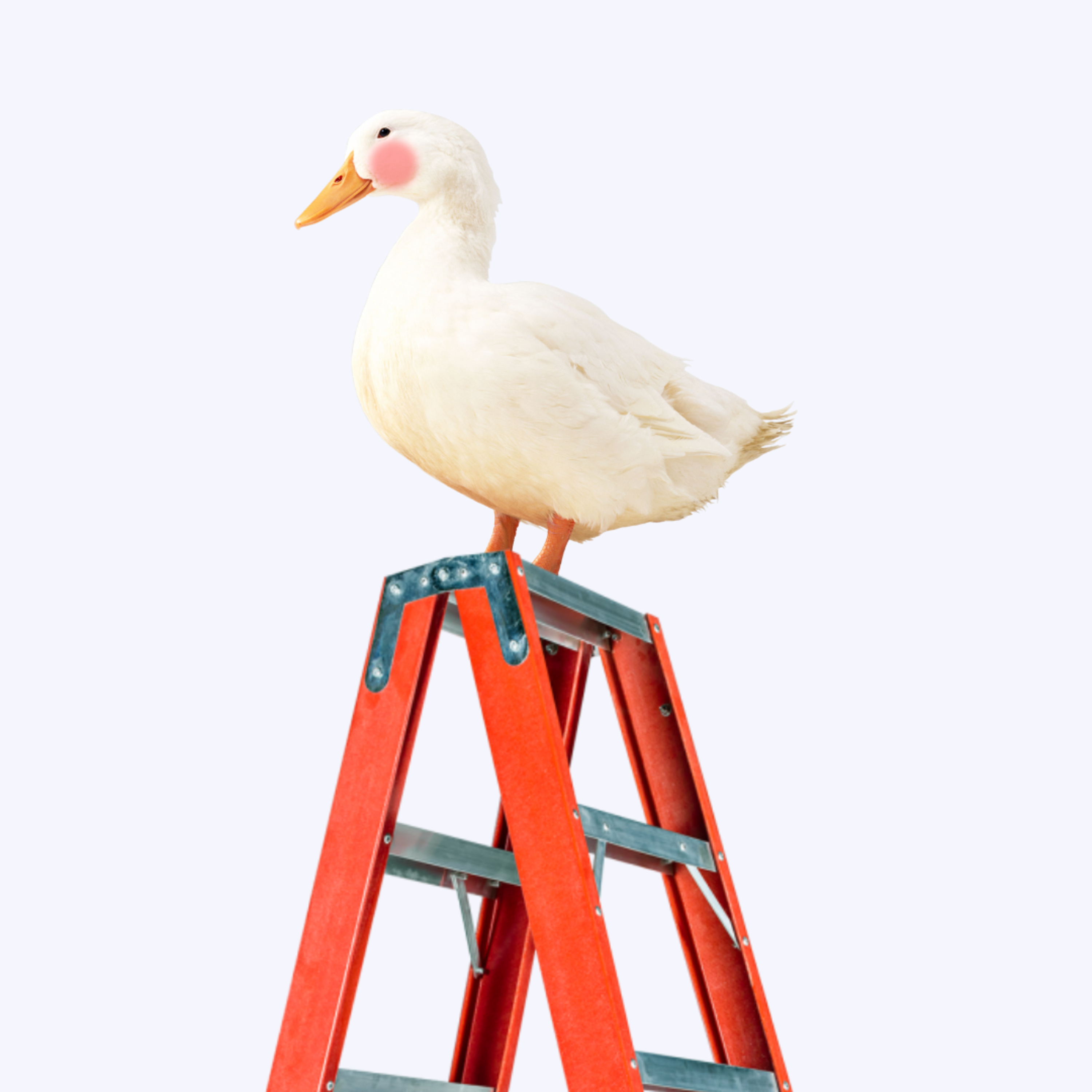 pato escada podcast
