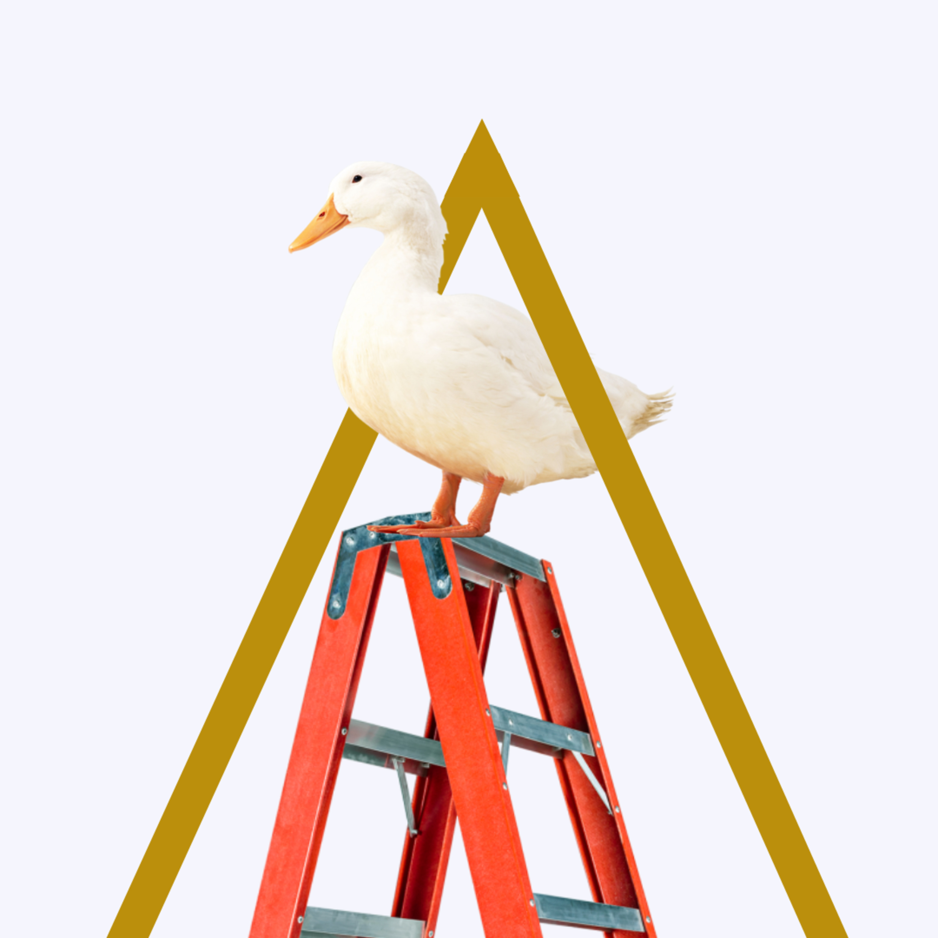 pato escada podcast