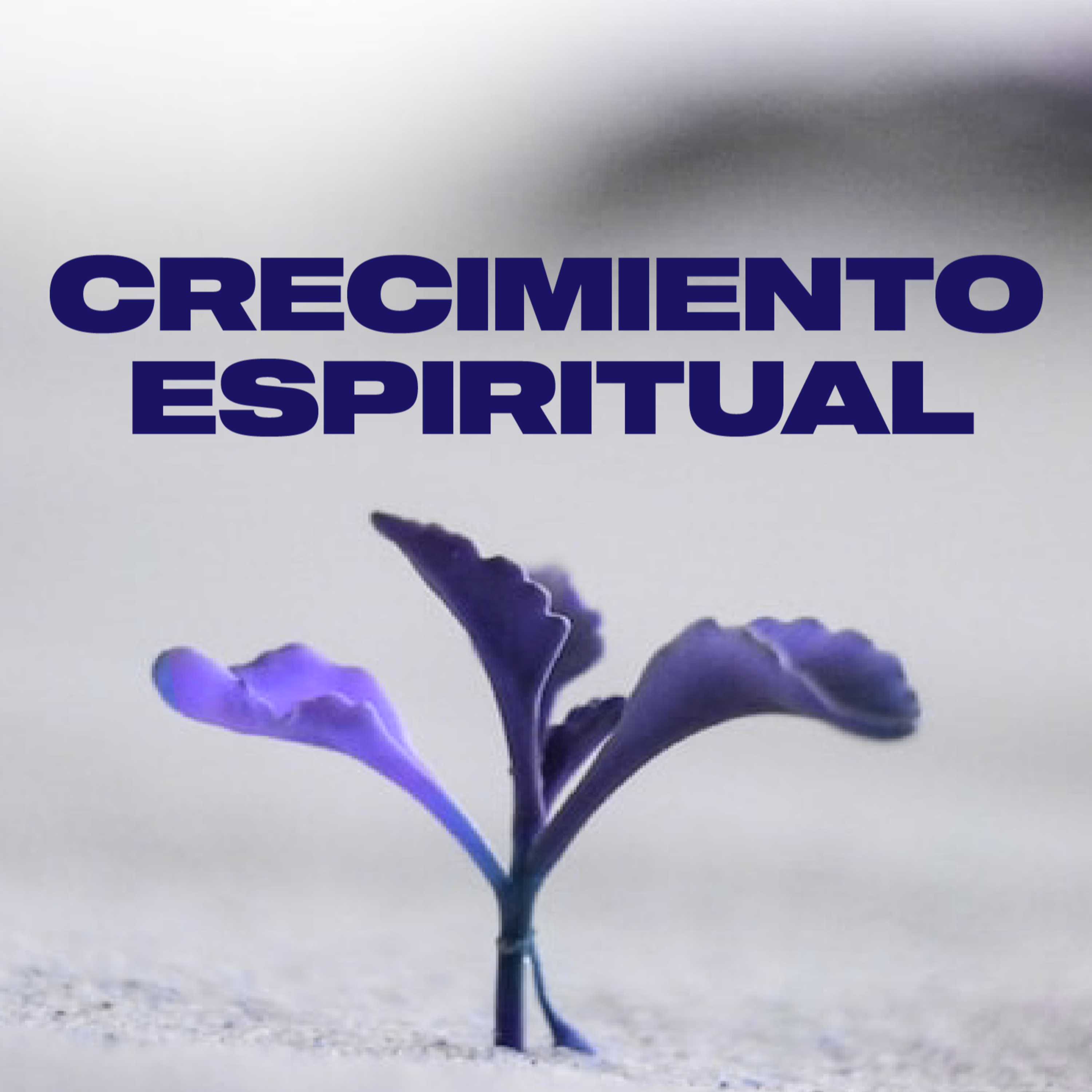 Portada de Remanente