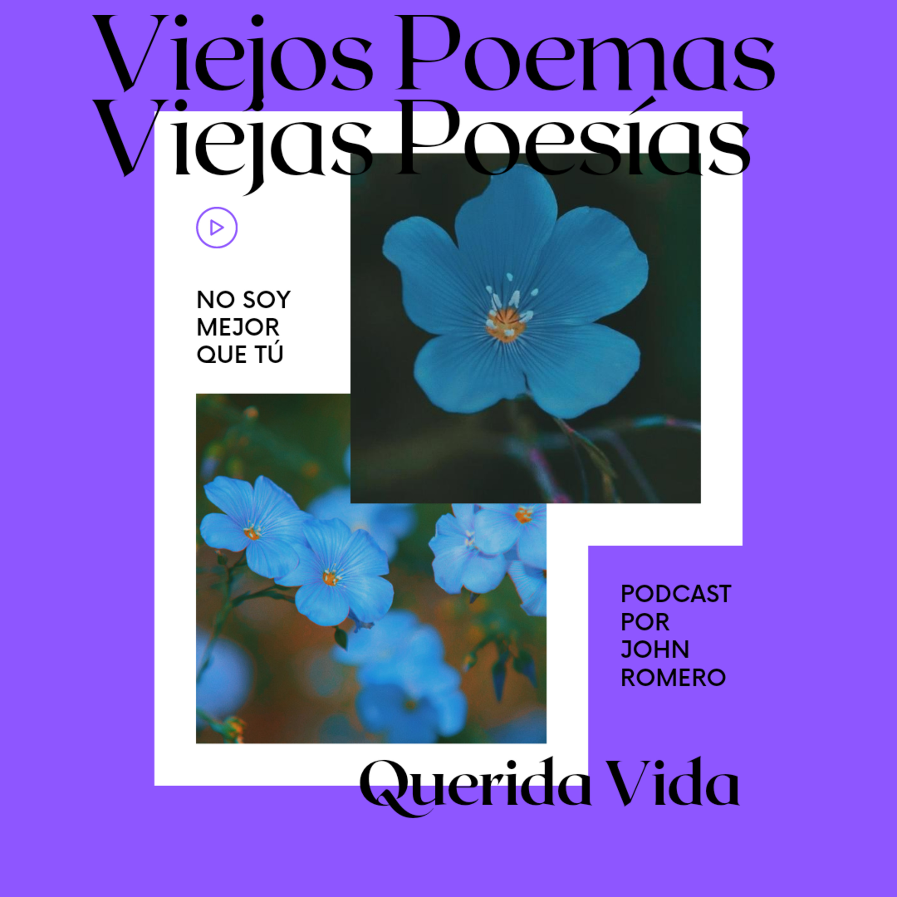 Querida Vida episode artwork