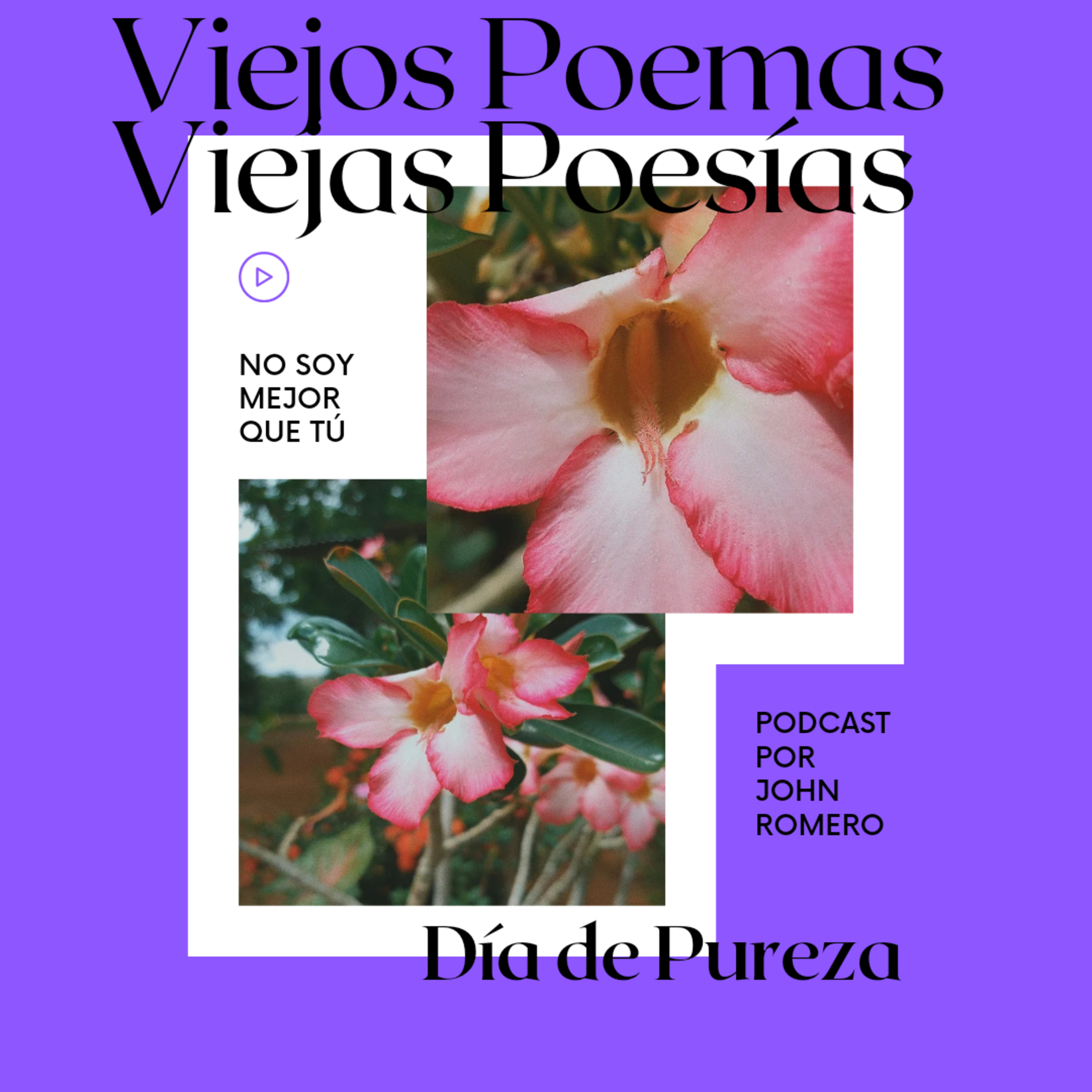 Día de Pureza episode artwork