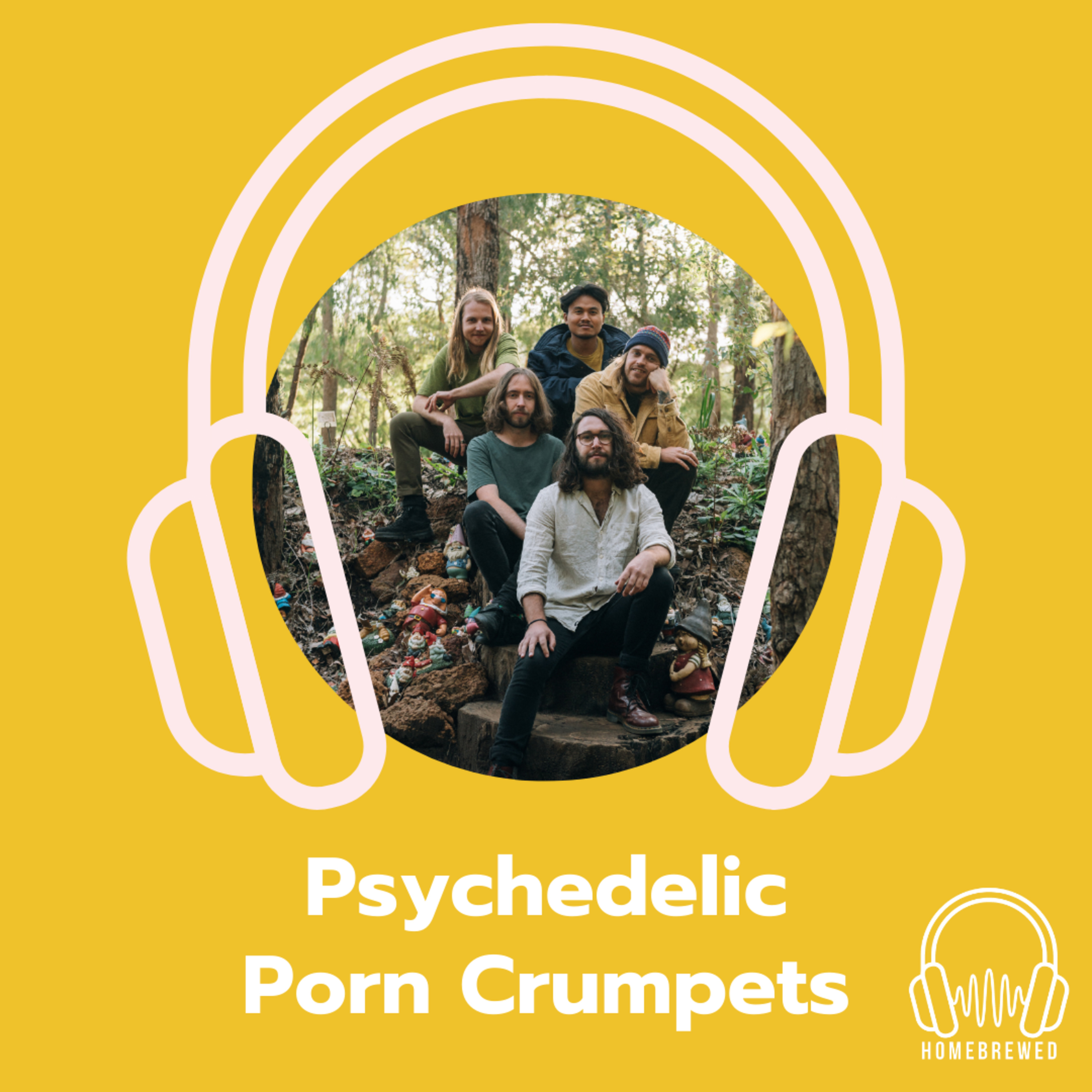Psychedelic Porn Crumpets Interview II