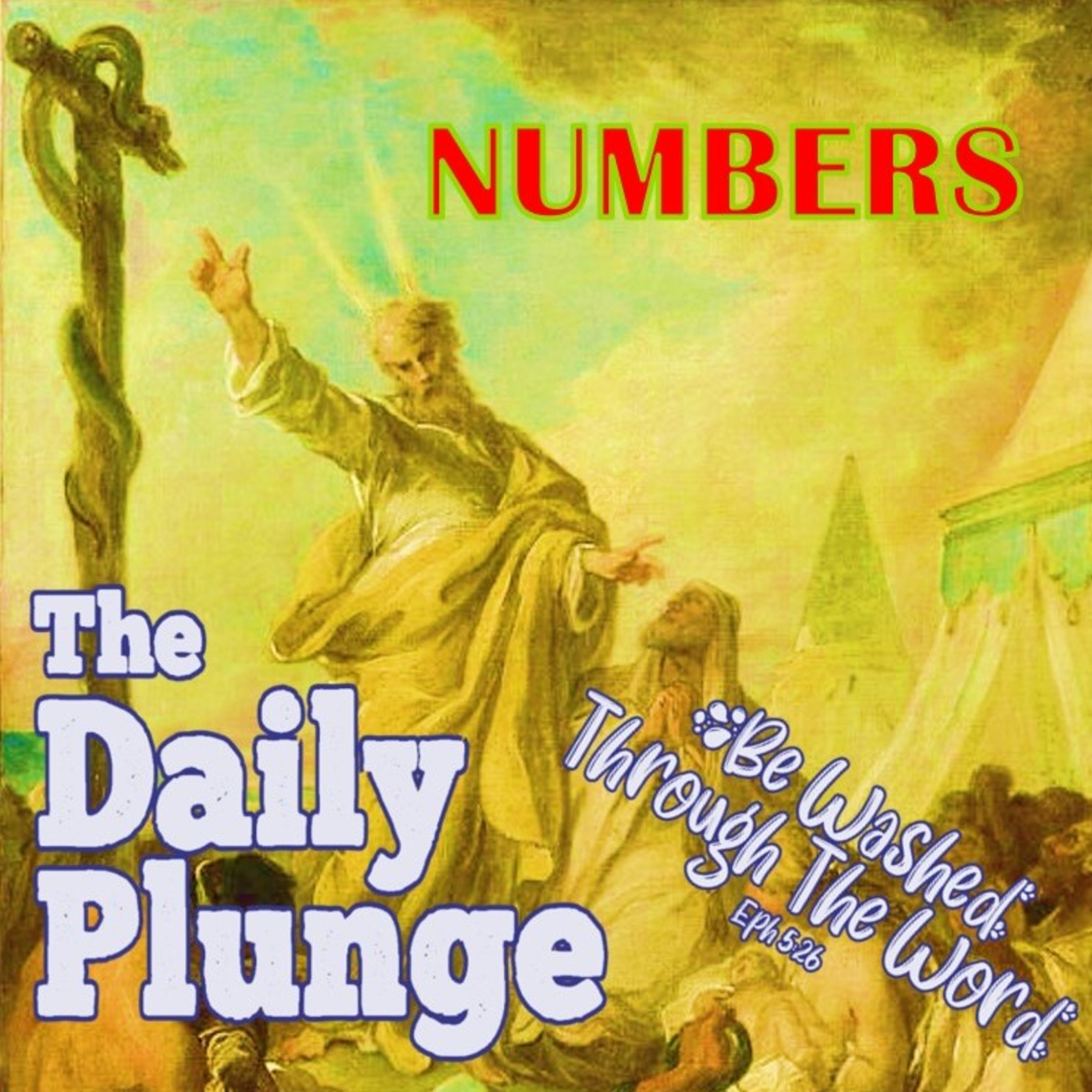 The Daily Plunge!