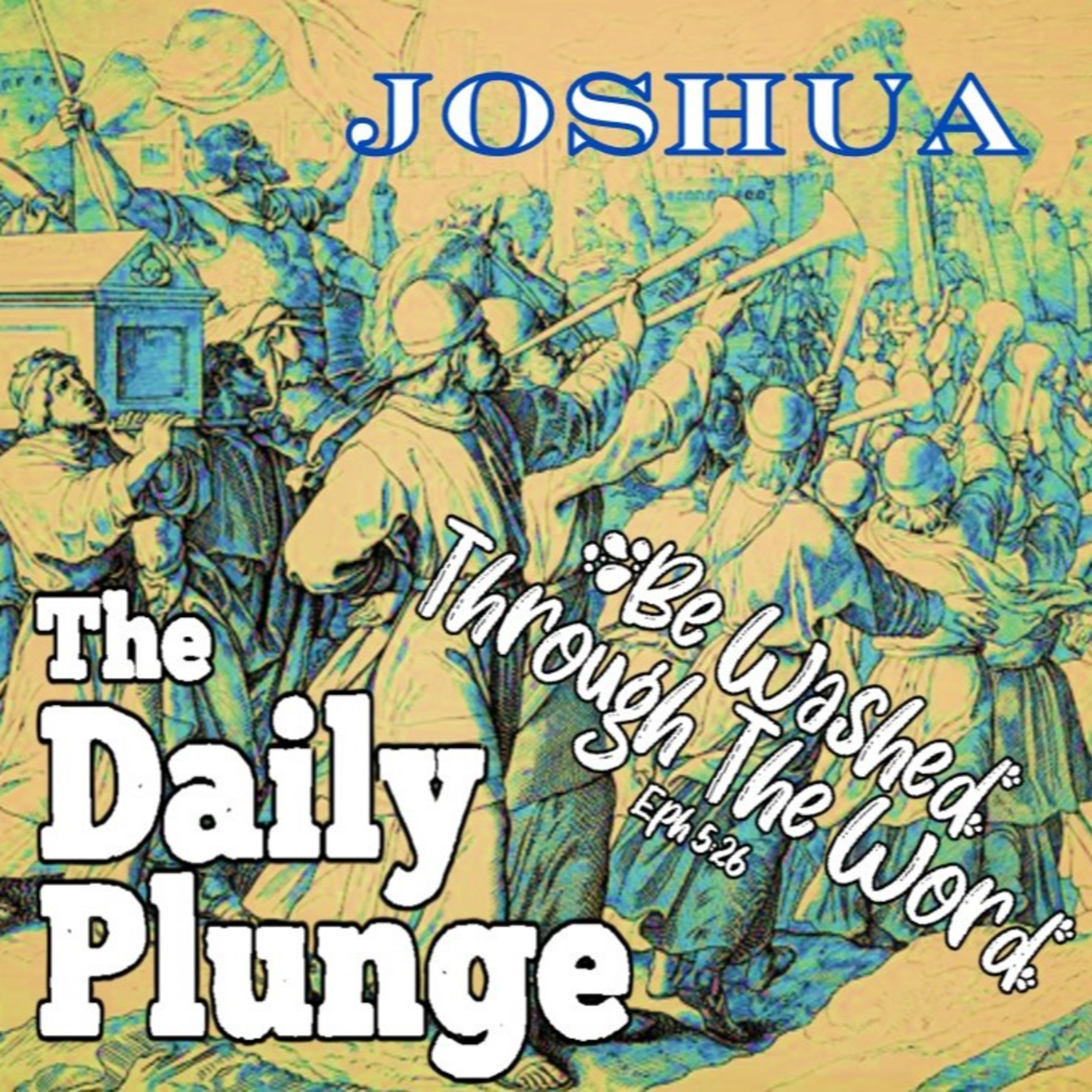 The Daily Plunge!