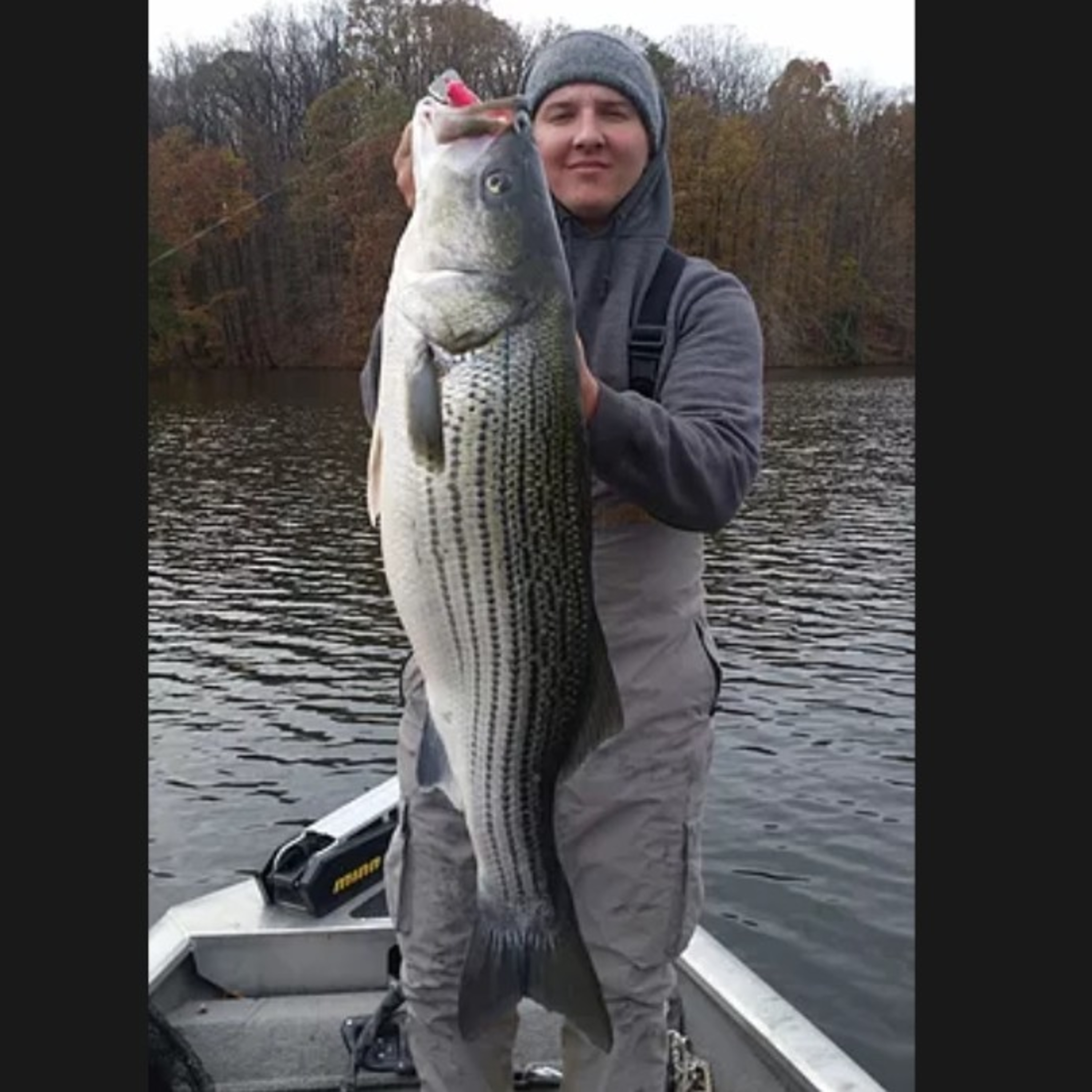 Big Bait Sagas - Big Bait Podcast