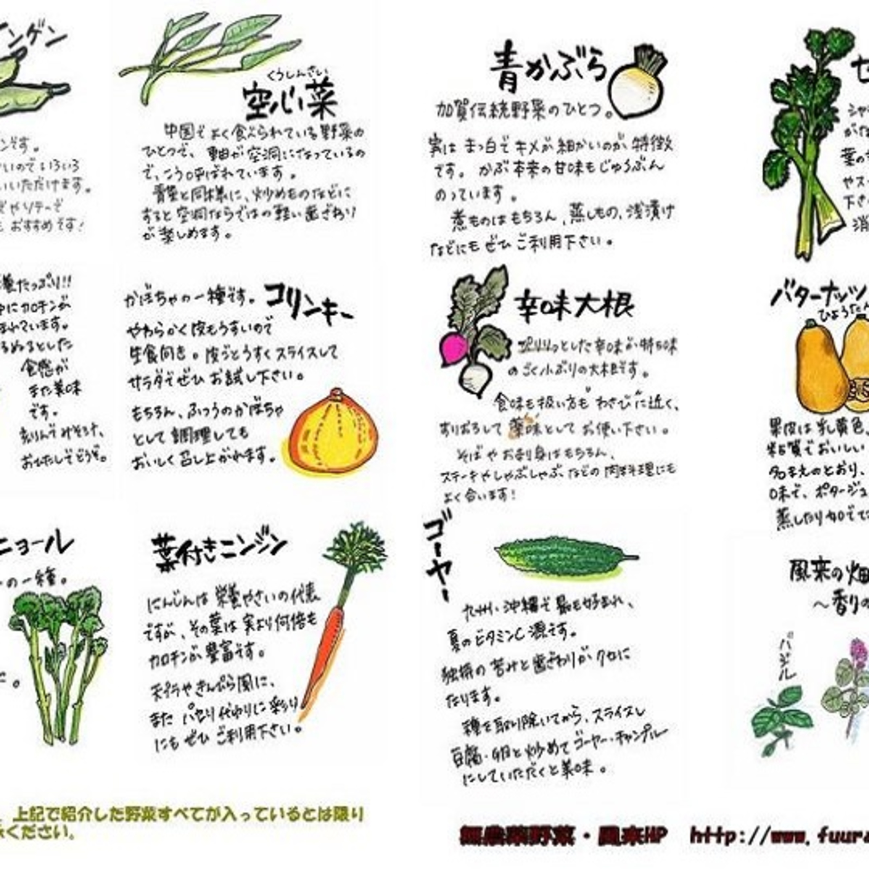#49 プロの視点で見る最初に育てる野菜おすすめ5選-1 episode artwork