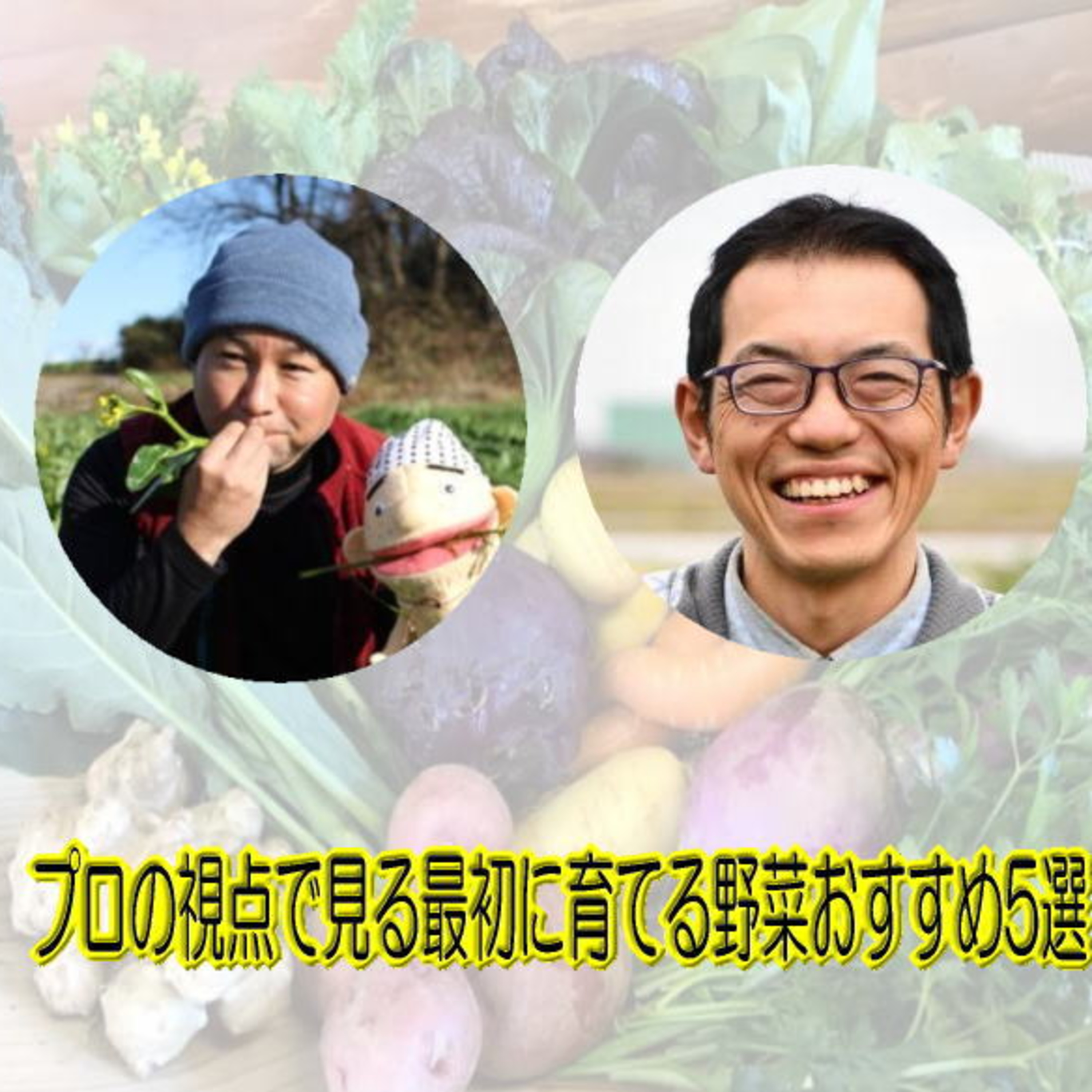 #53【SP対談】 プロの視点で見る最初に育てる野菜おすすめ5選-4 episode artwork
