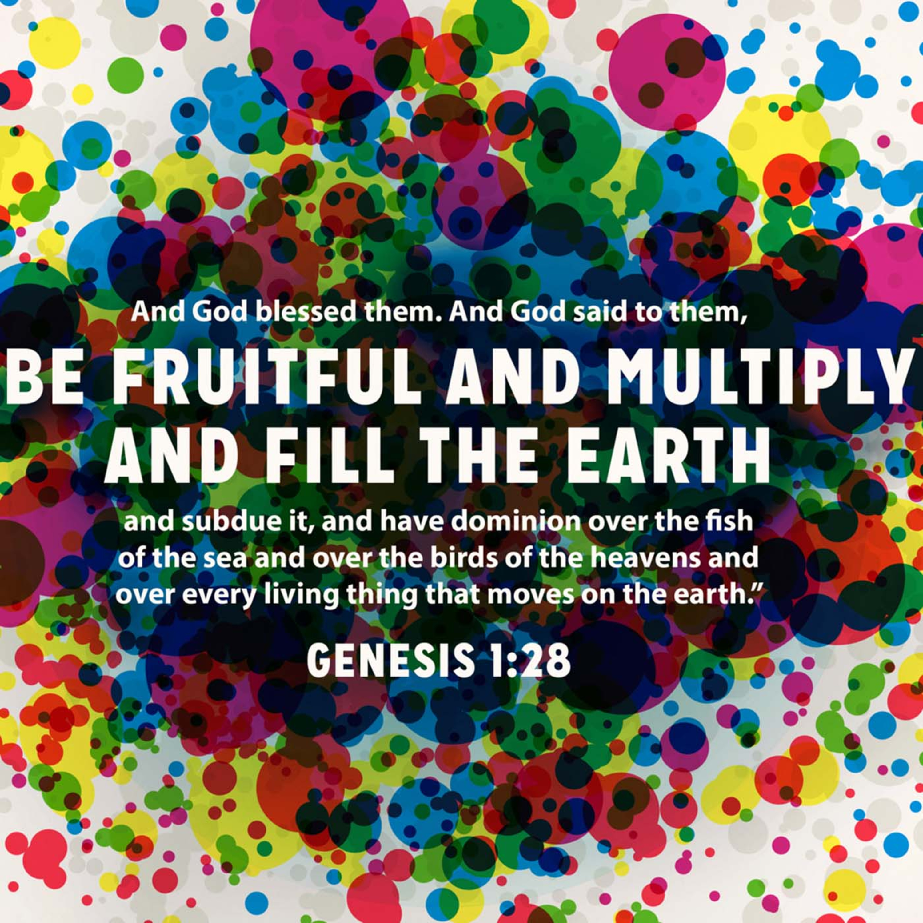 Ep. 1 Genesis, Matthew, Psalms and Proverbs episode artwork