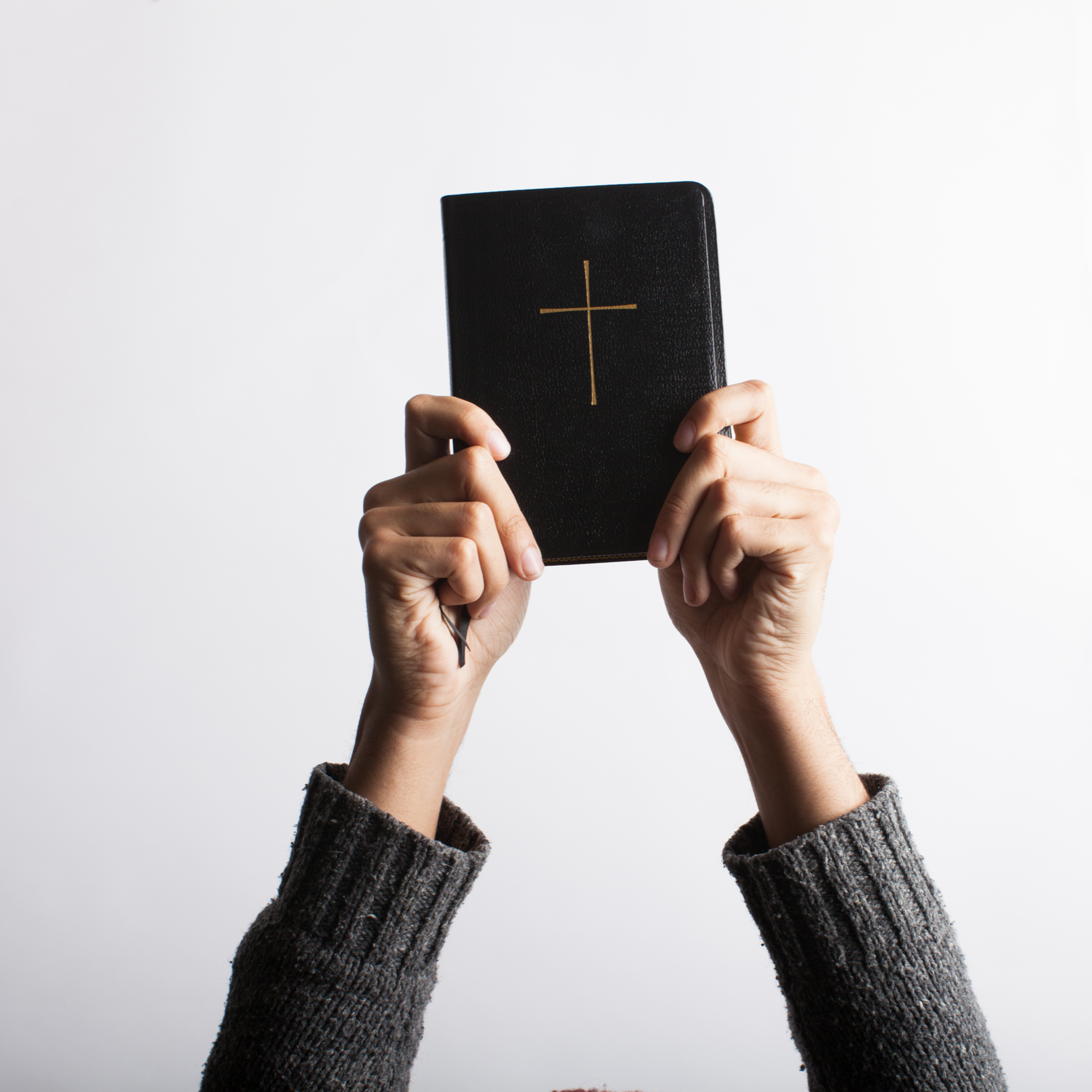 Ep. 36 Luke, Psalms and Leviticus episode artwork