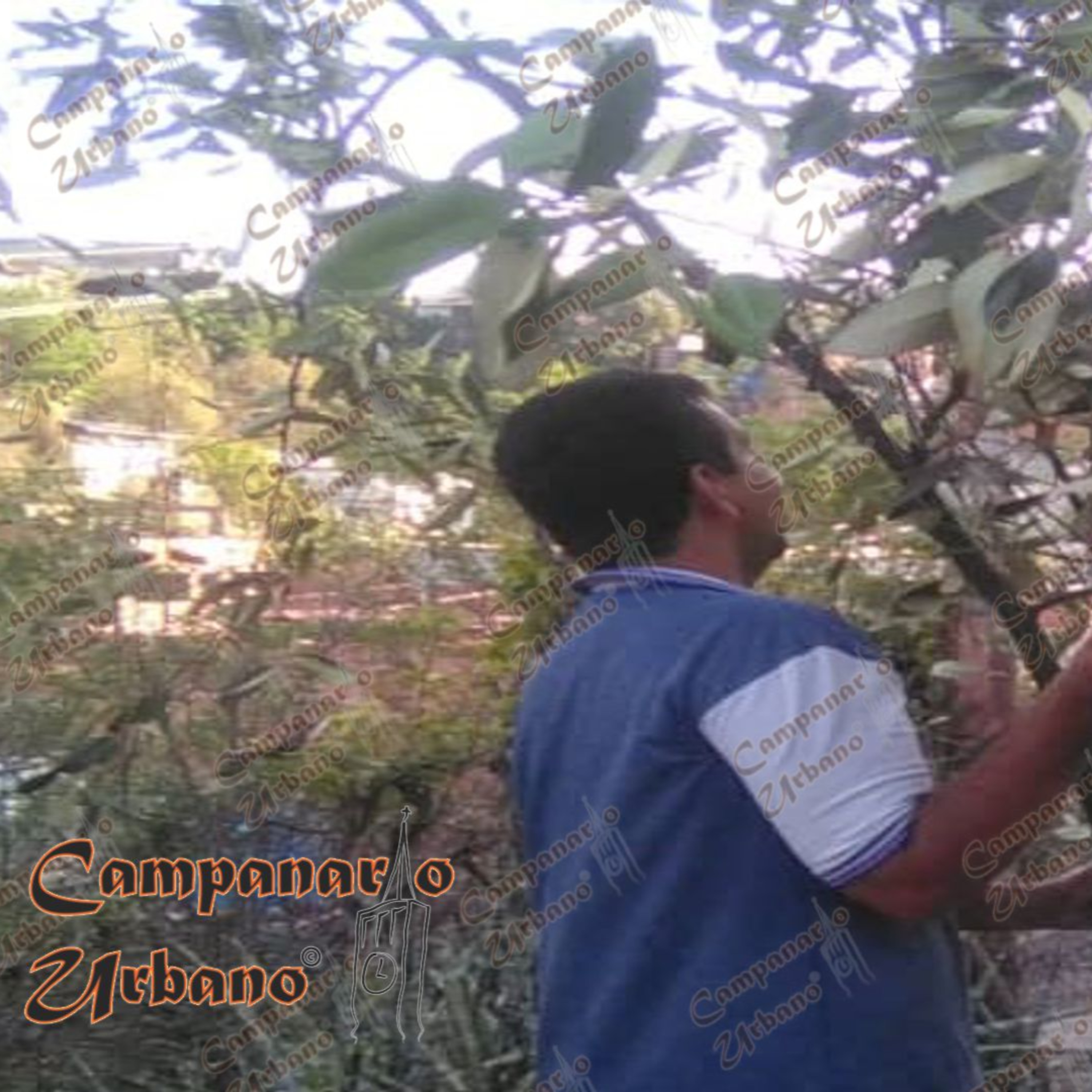 Campanario Urbano