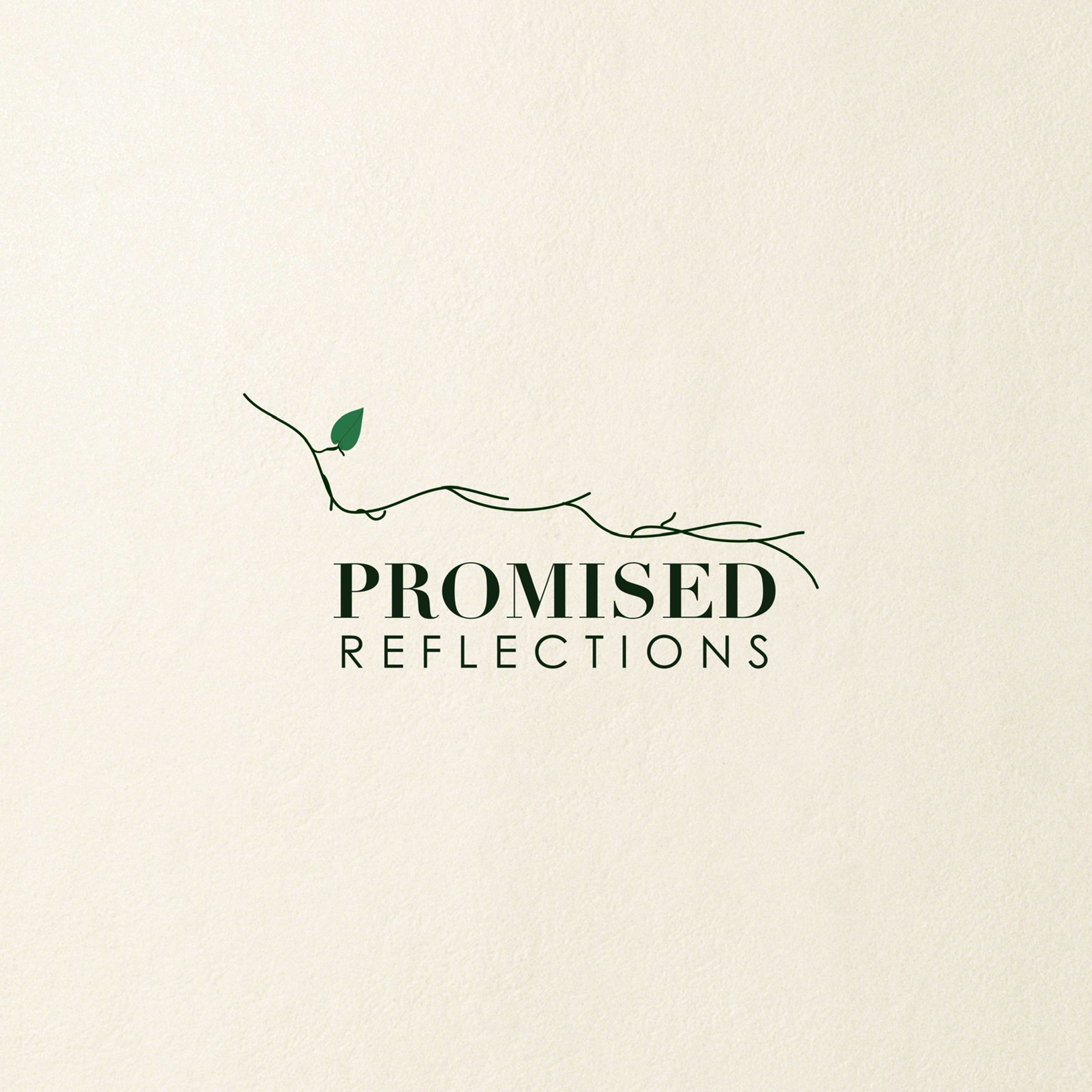 ep1: PROMISED REFLECTIONS