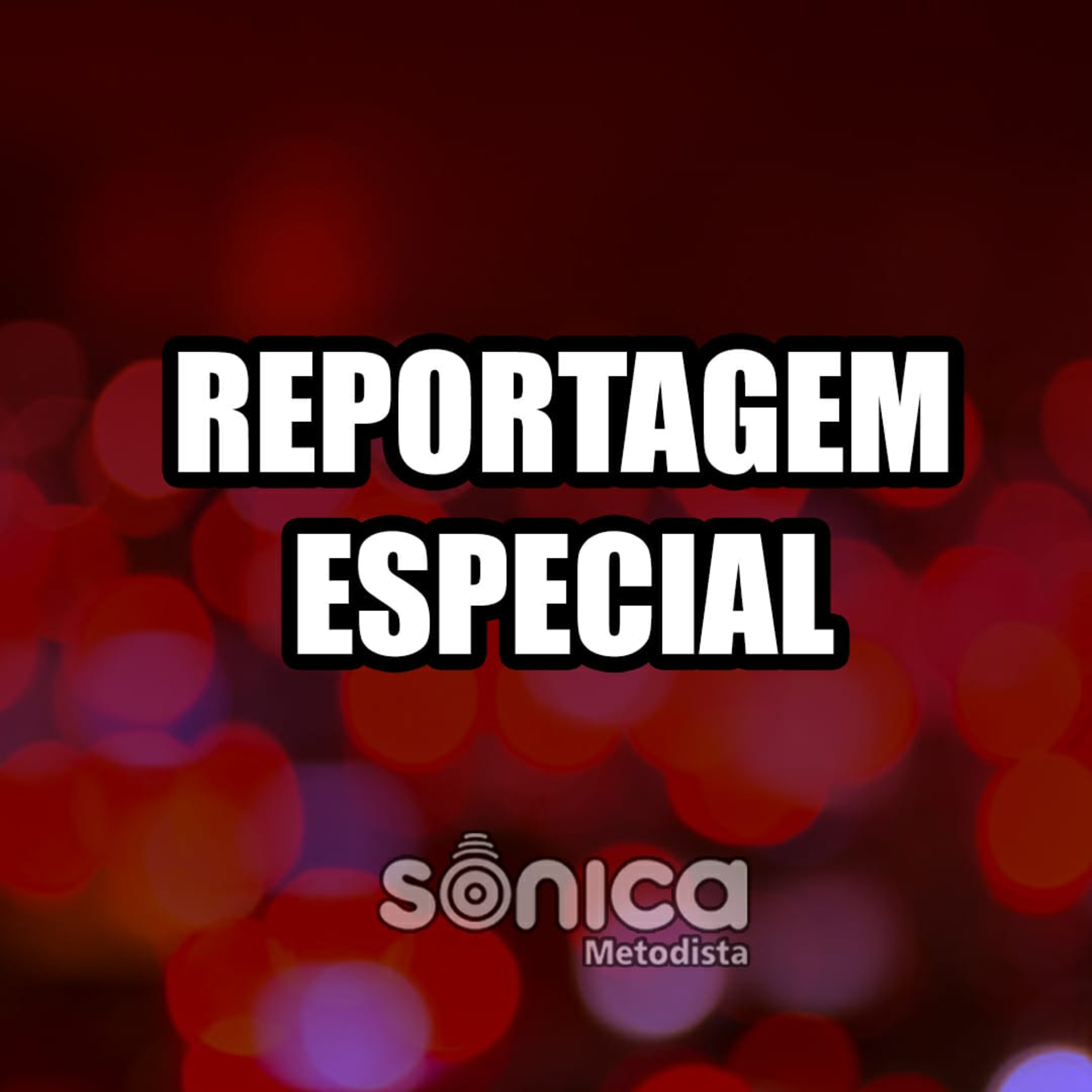 Sônica Metodista