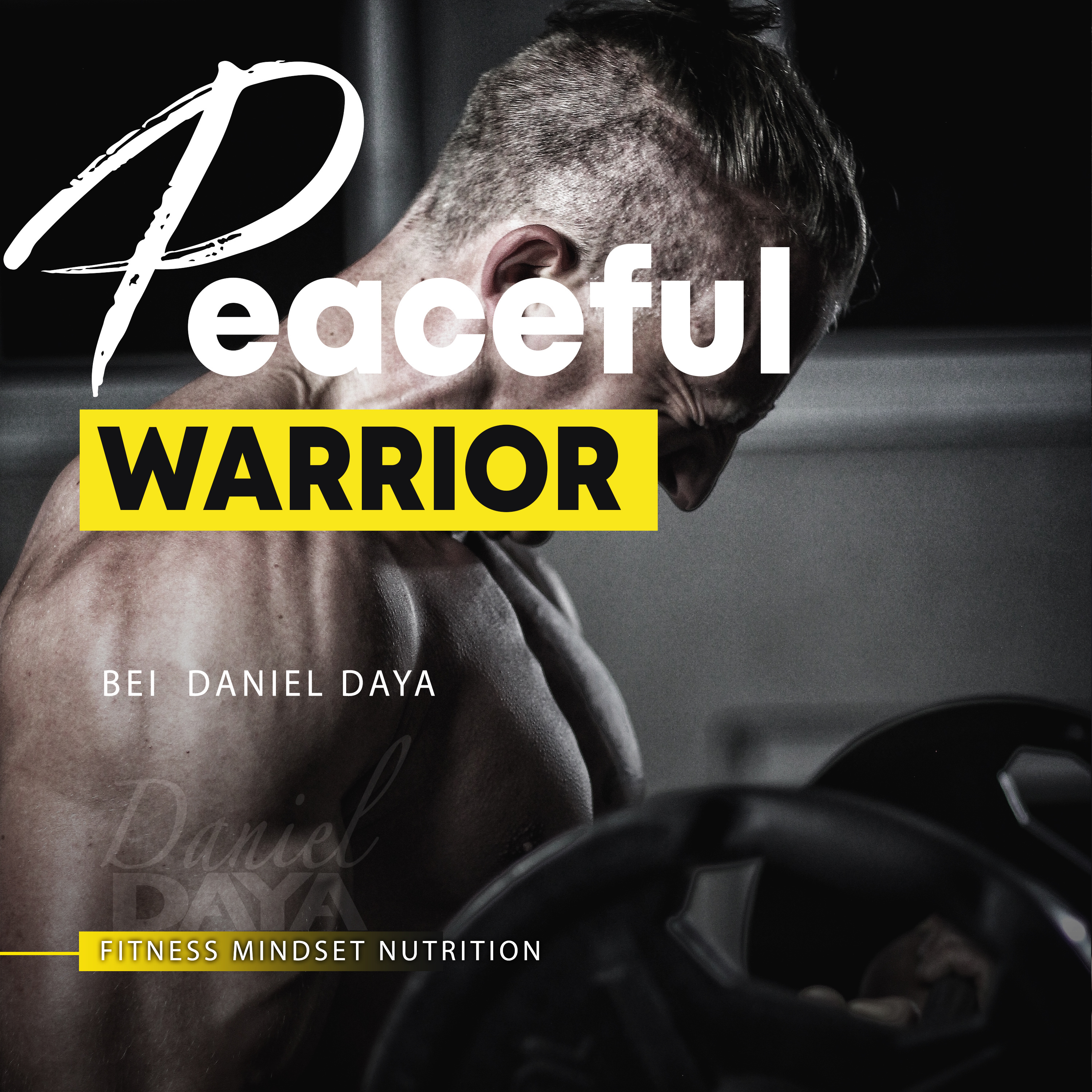 Peaceful Warrior / MINDSET, LIFESTYLE & was sonst so in meinem Leben passiert