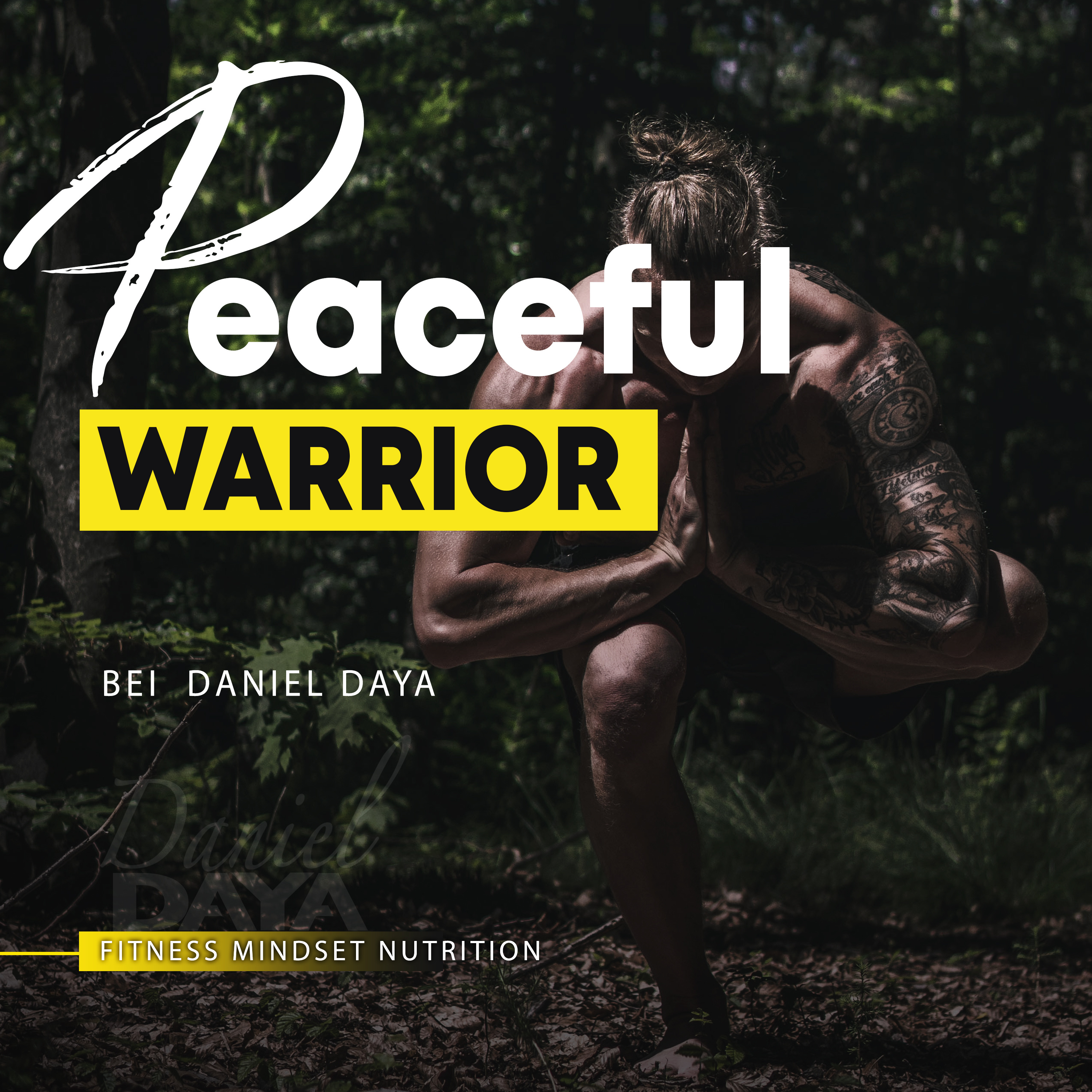 Peaceful Warrior / MINDSET, LIFESTYLE & was sonst so in meinem Leben passiert
