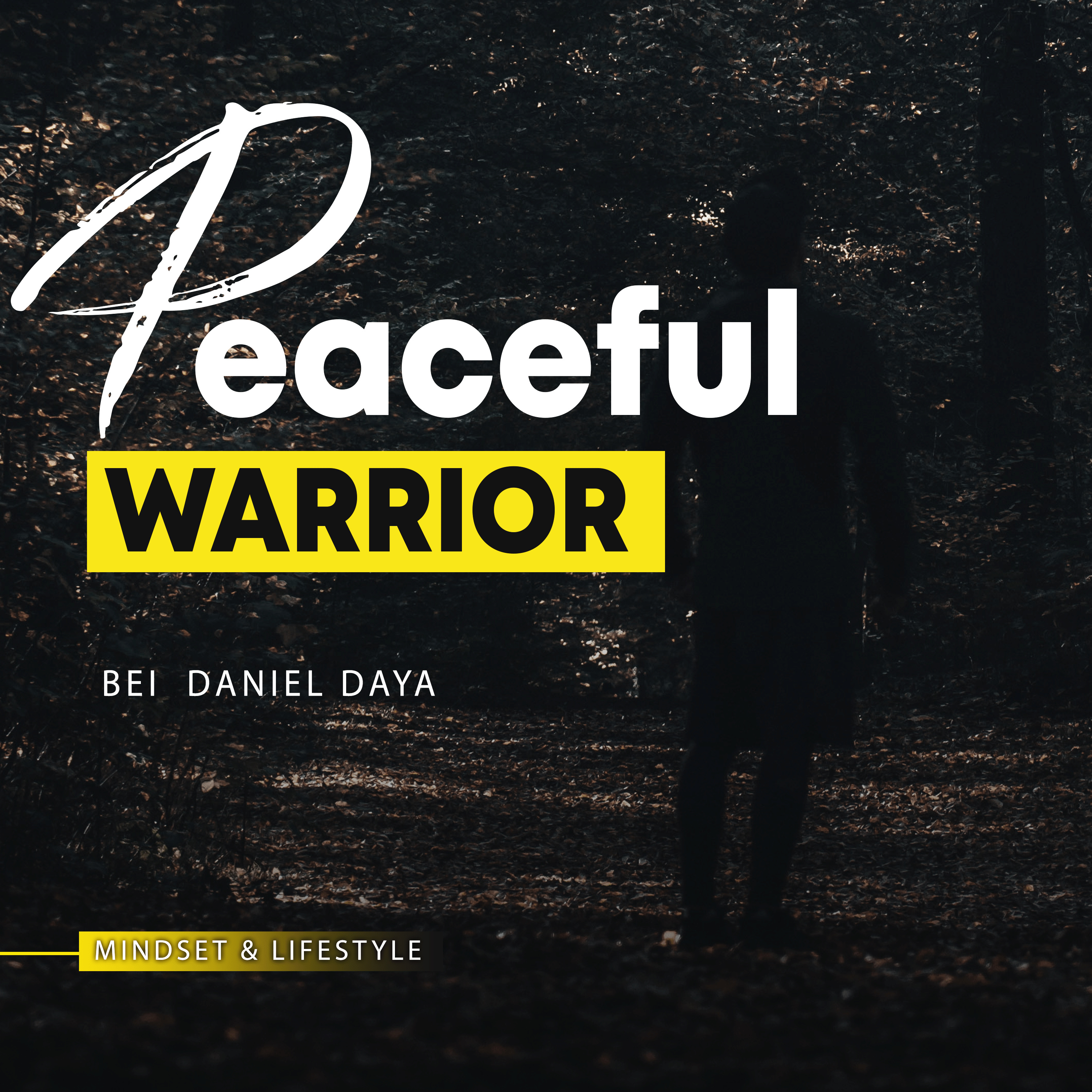Peaceful Warrior / MINDSET, LIFESTYLE & was sonst so in meinem Leben passiert