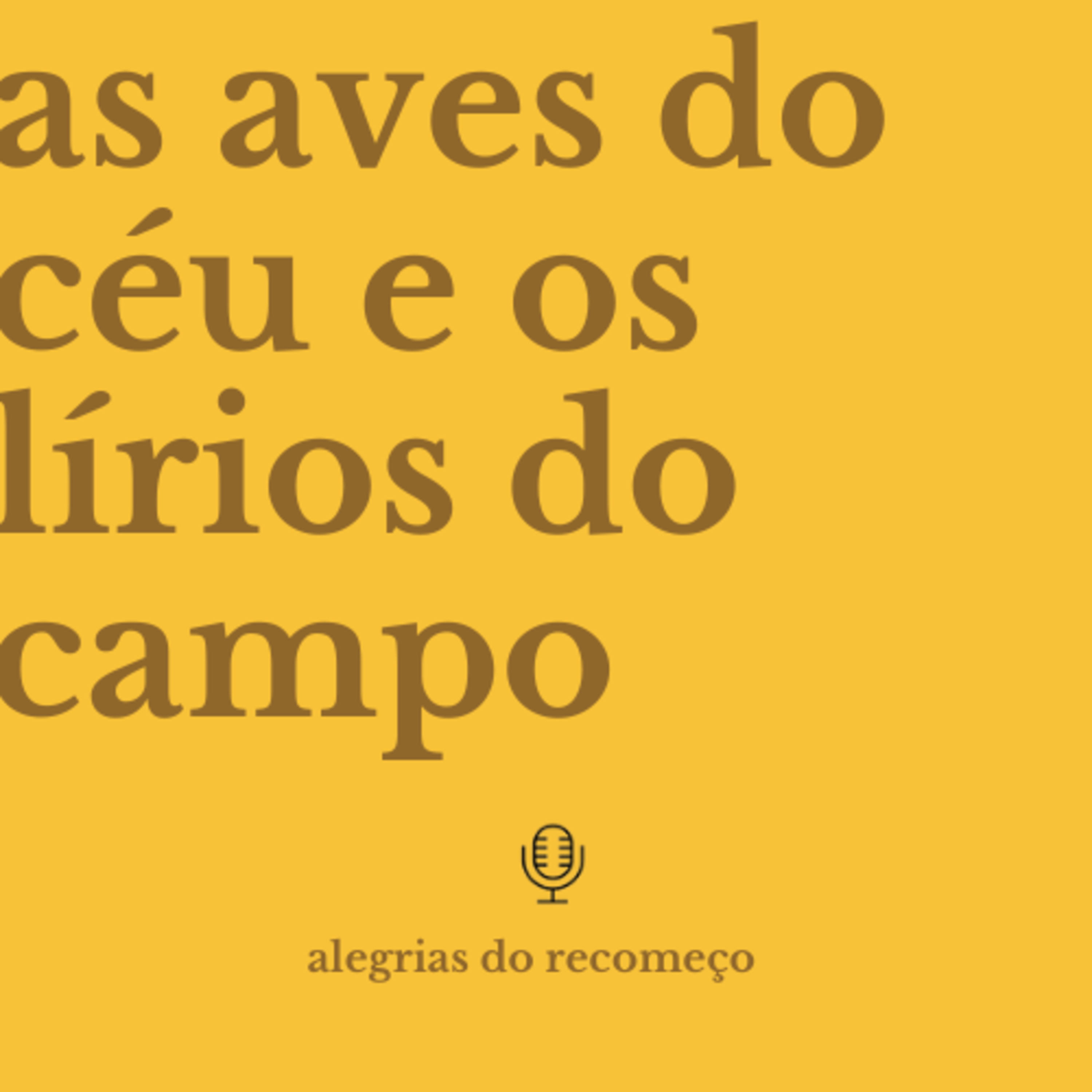 alegrias do recomeço | carla machado