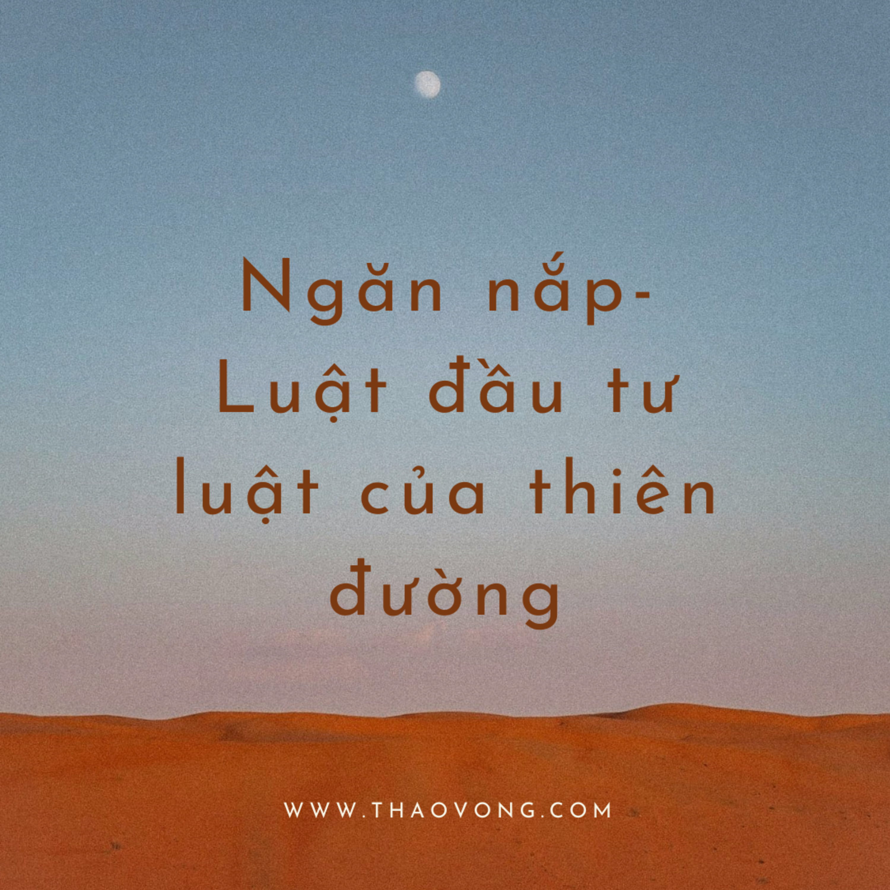 thaovong.com