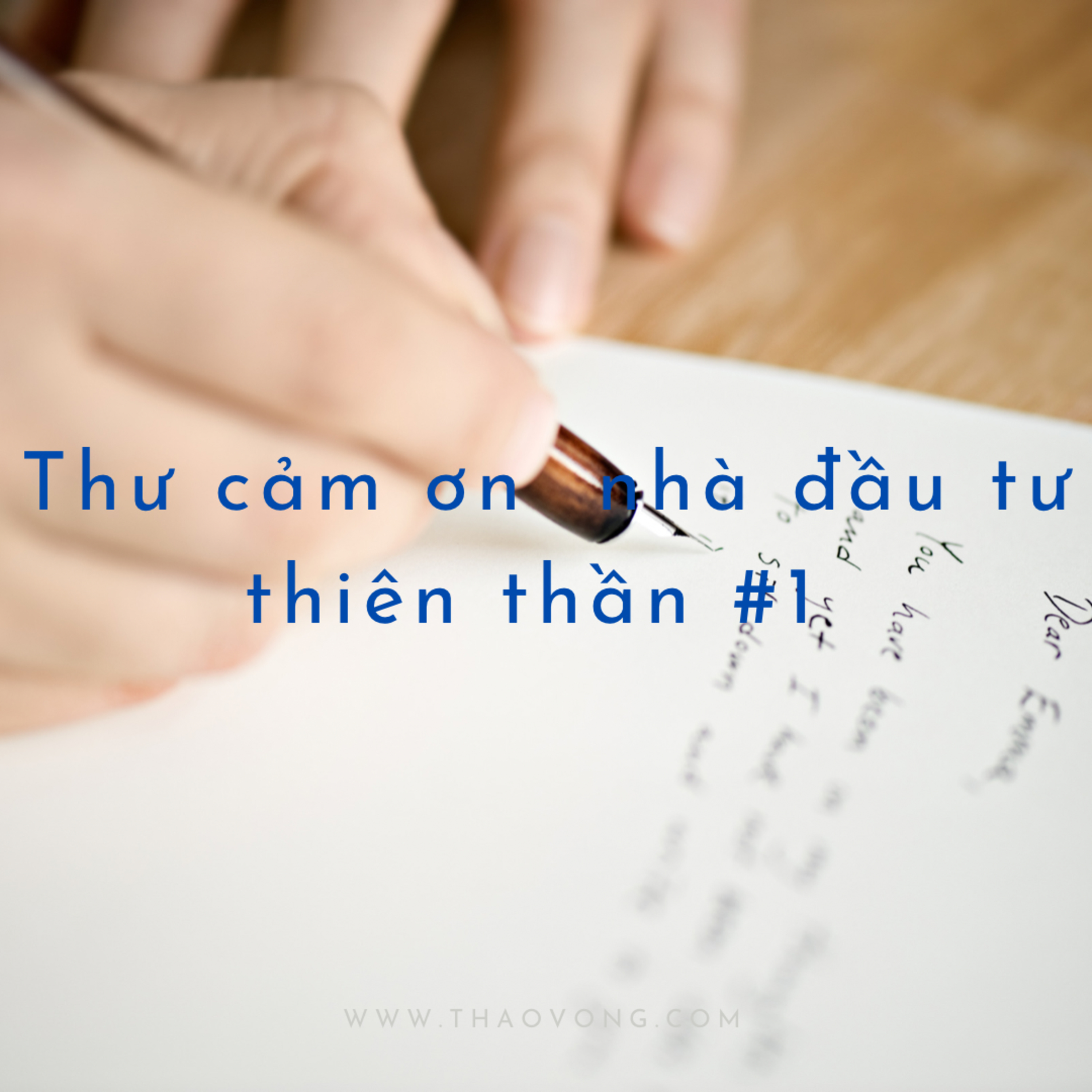thaovong.com