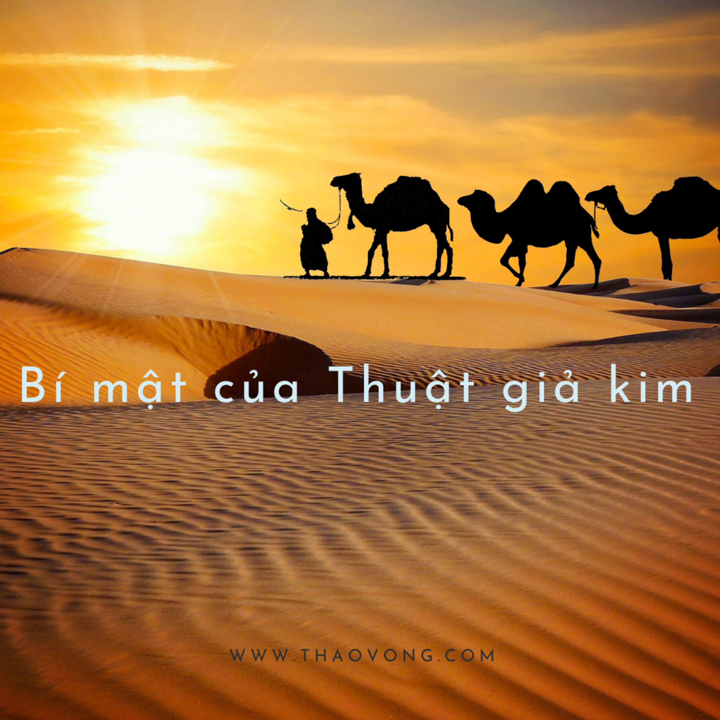 thaovong.com