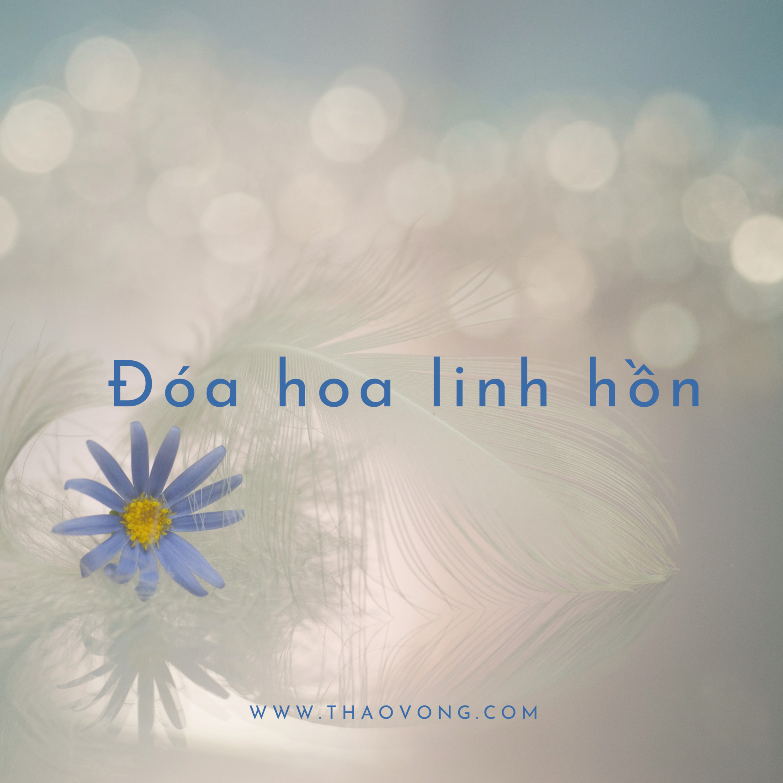 thaovong.com