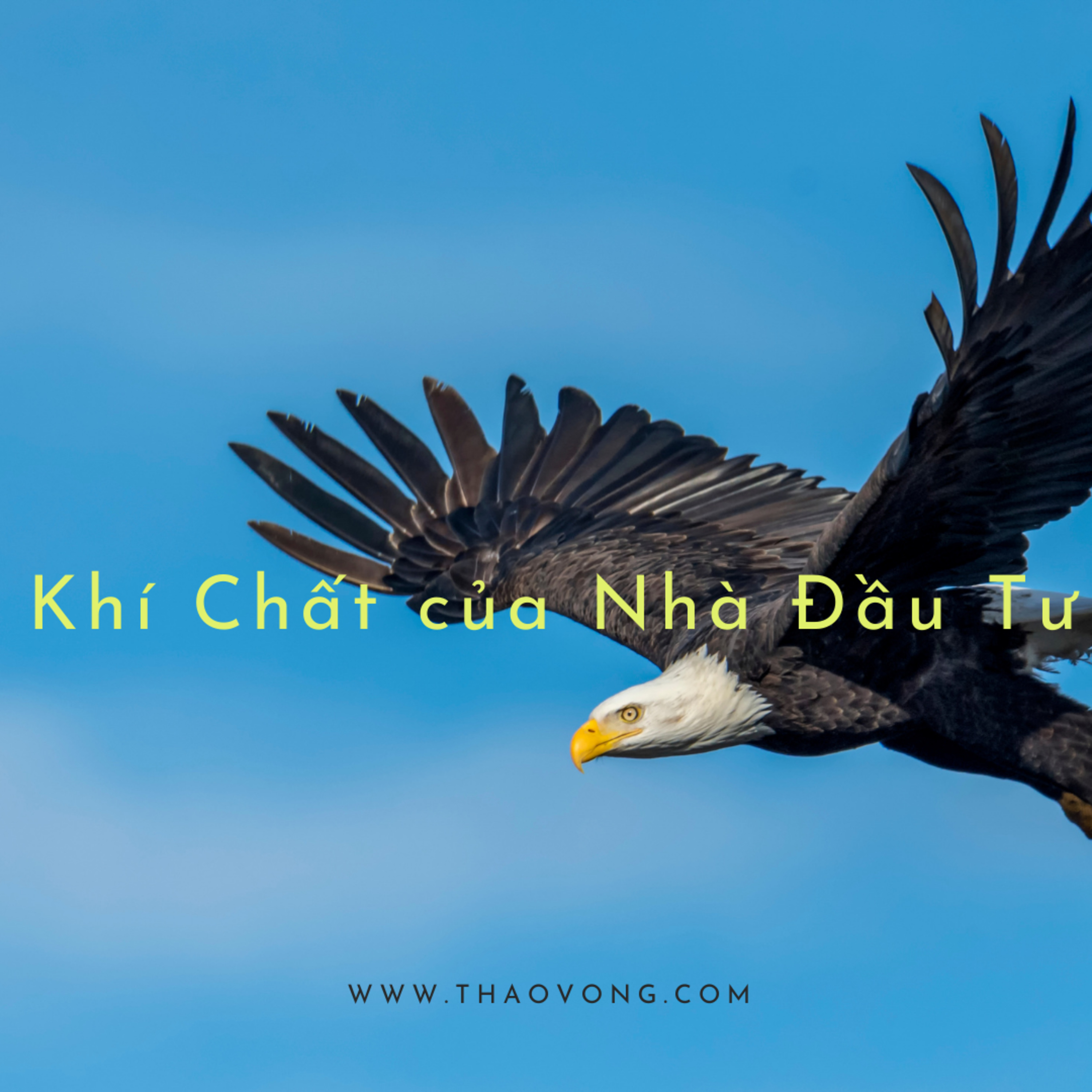 thaovong.com