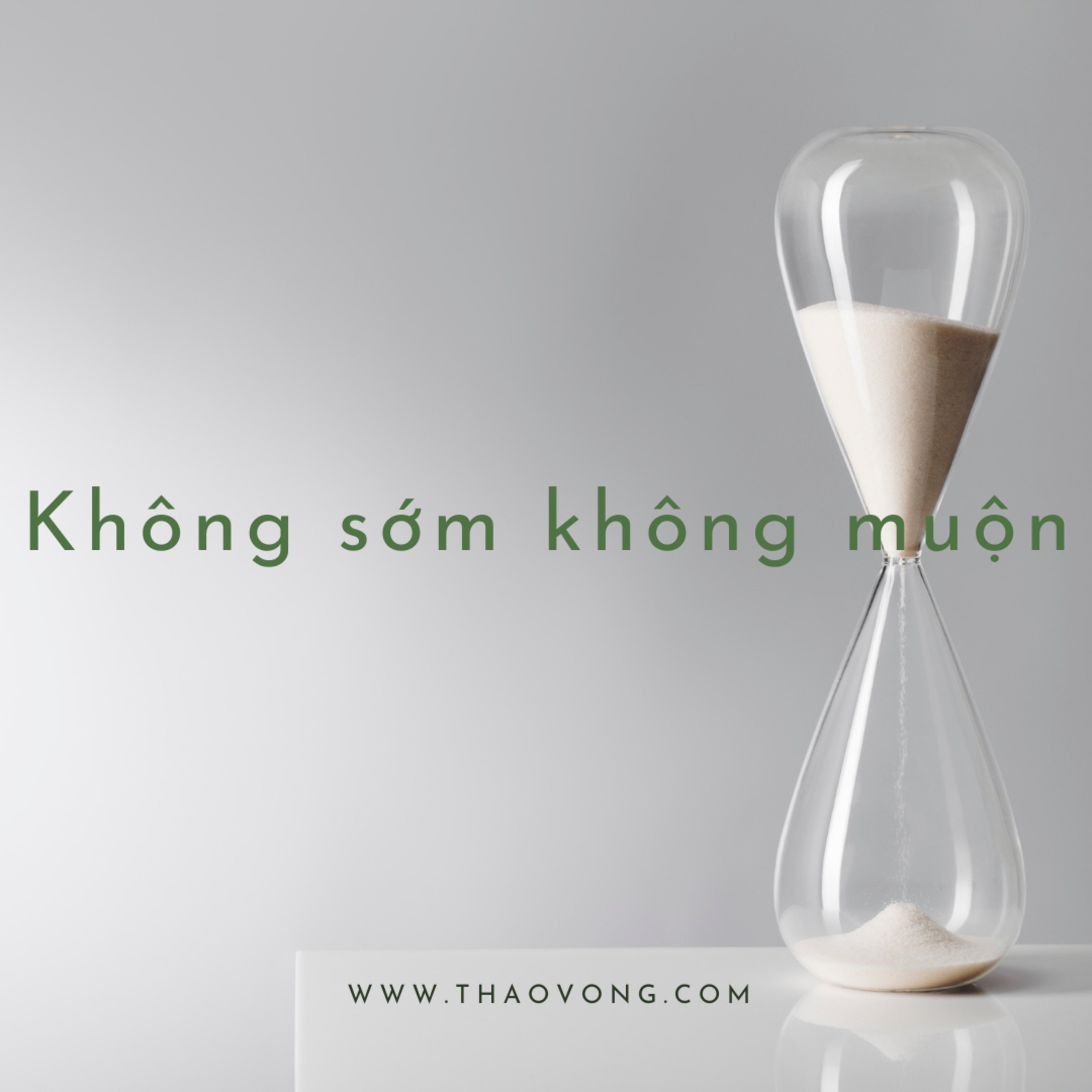 thaovong.com